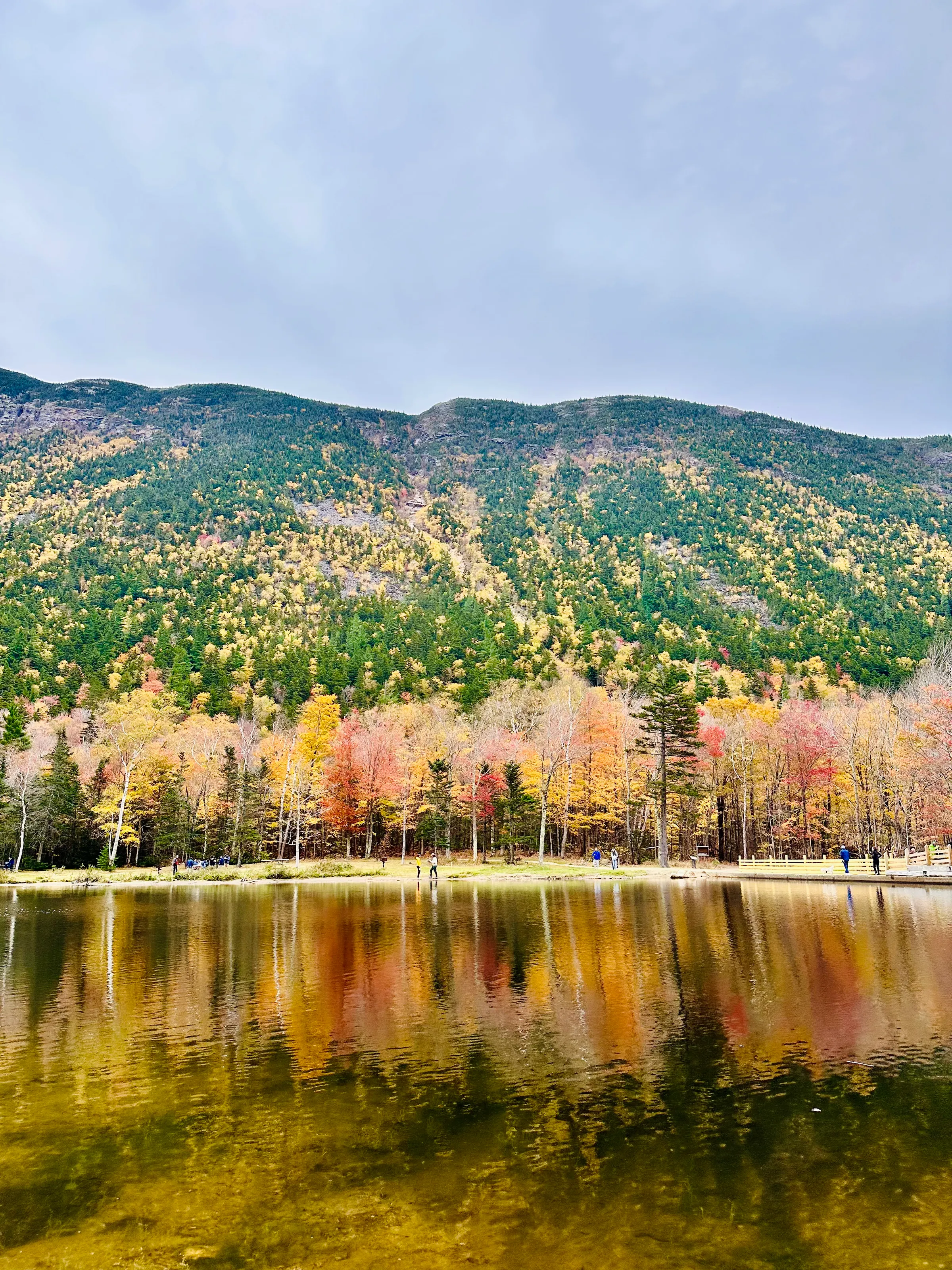 Canvas of autumn