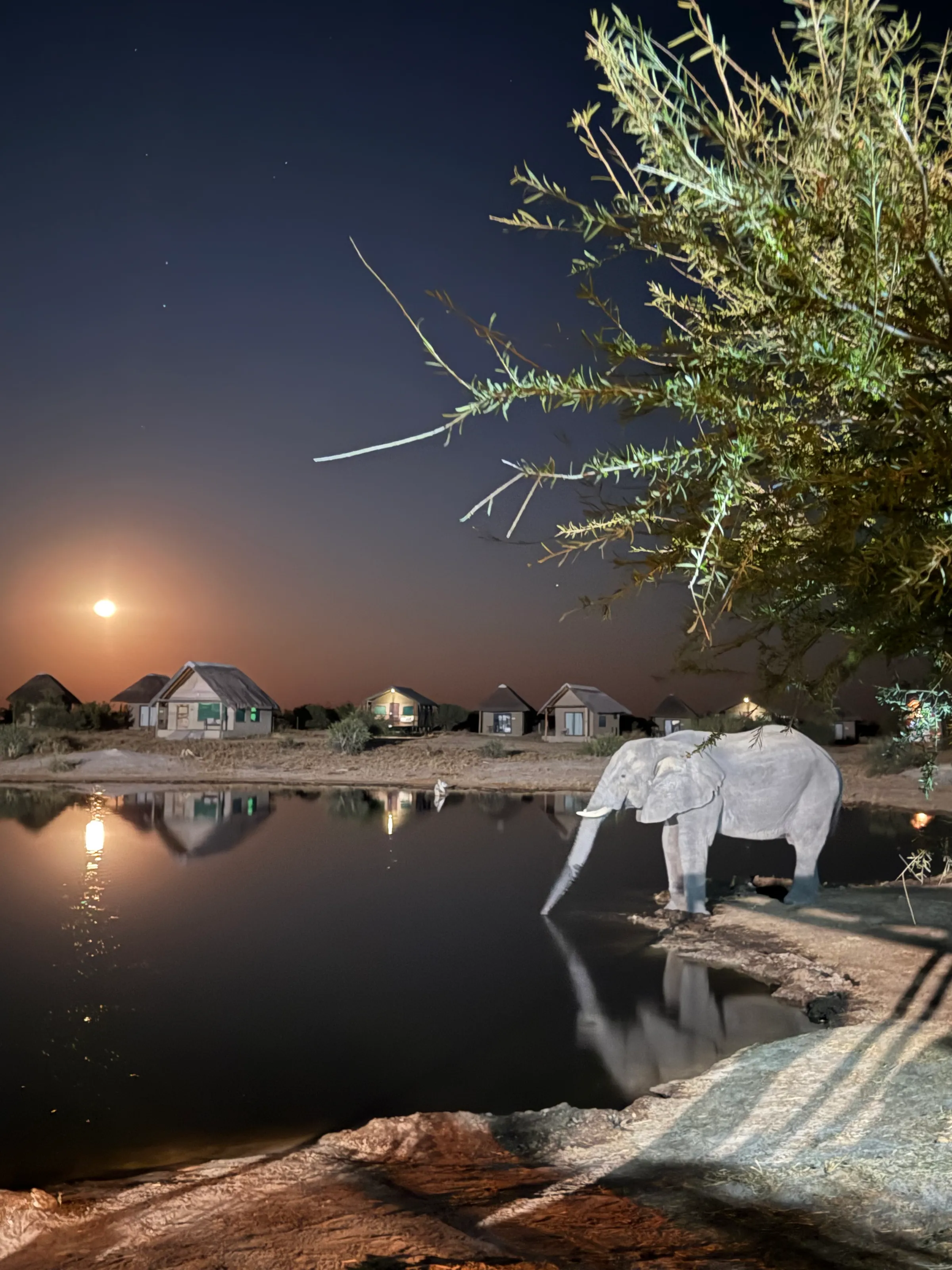Elephant Sands