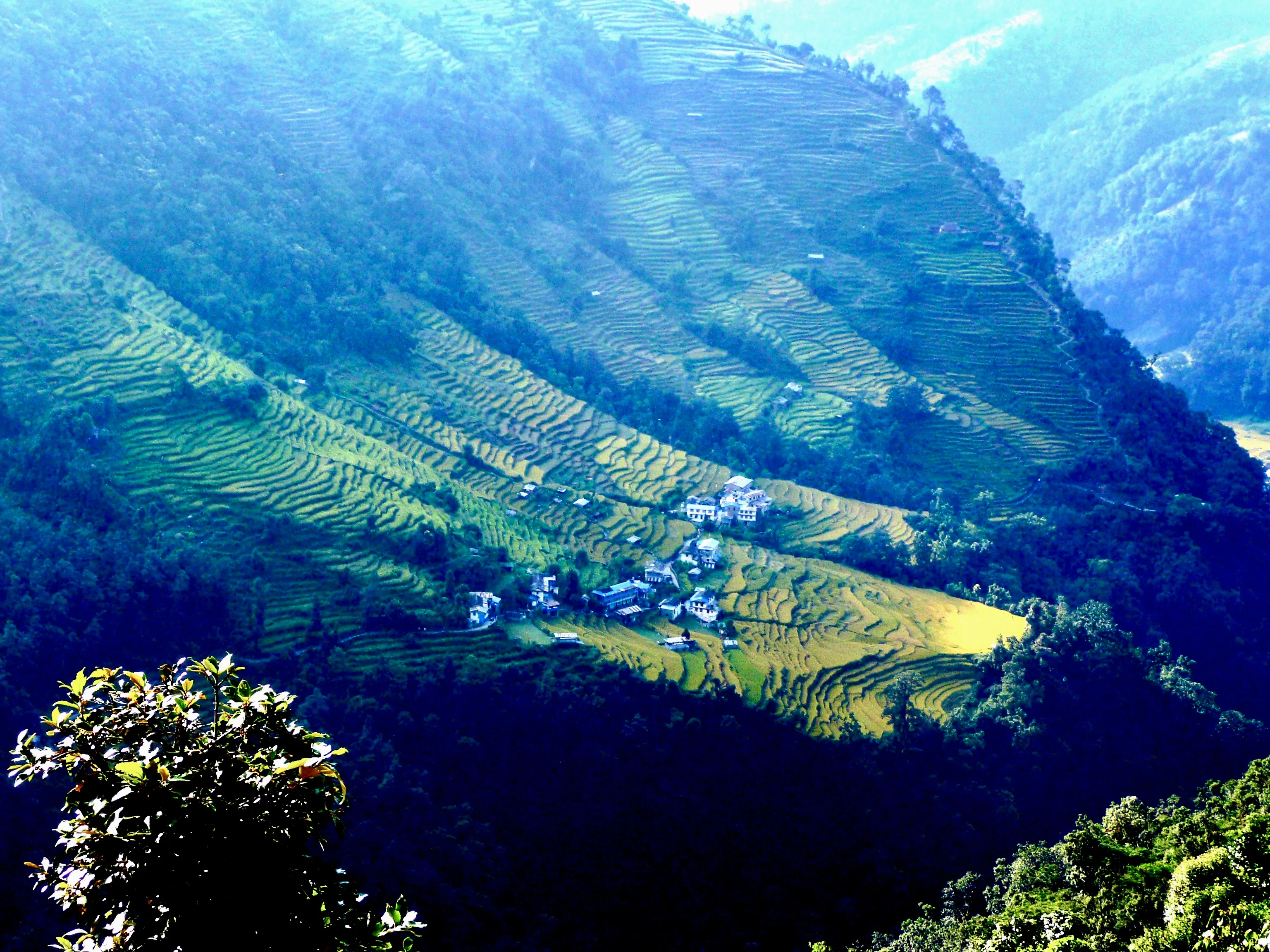 Himalayan Hillside