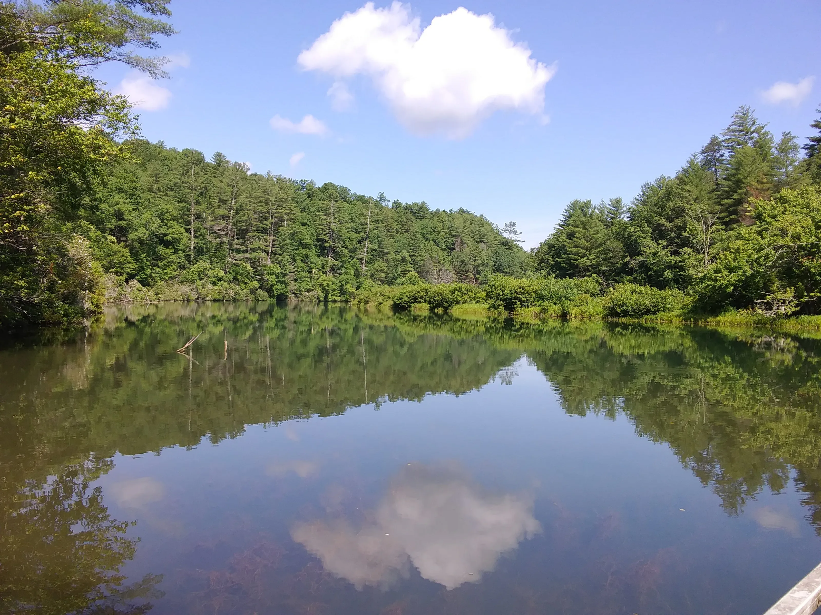 Reflections