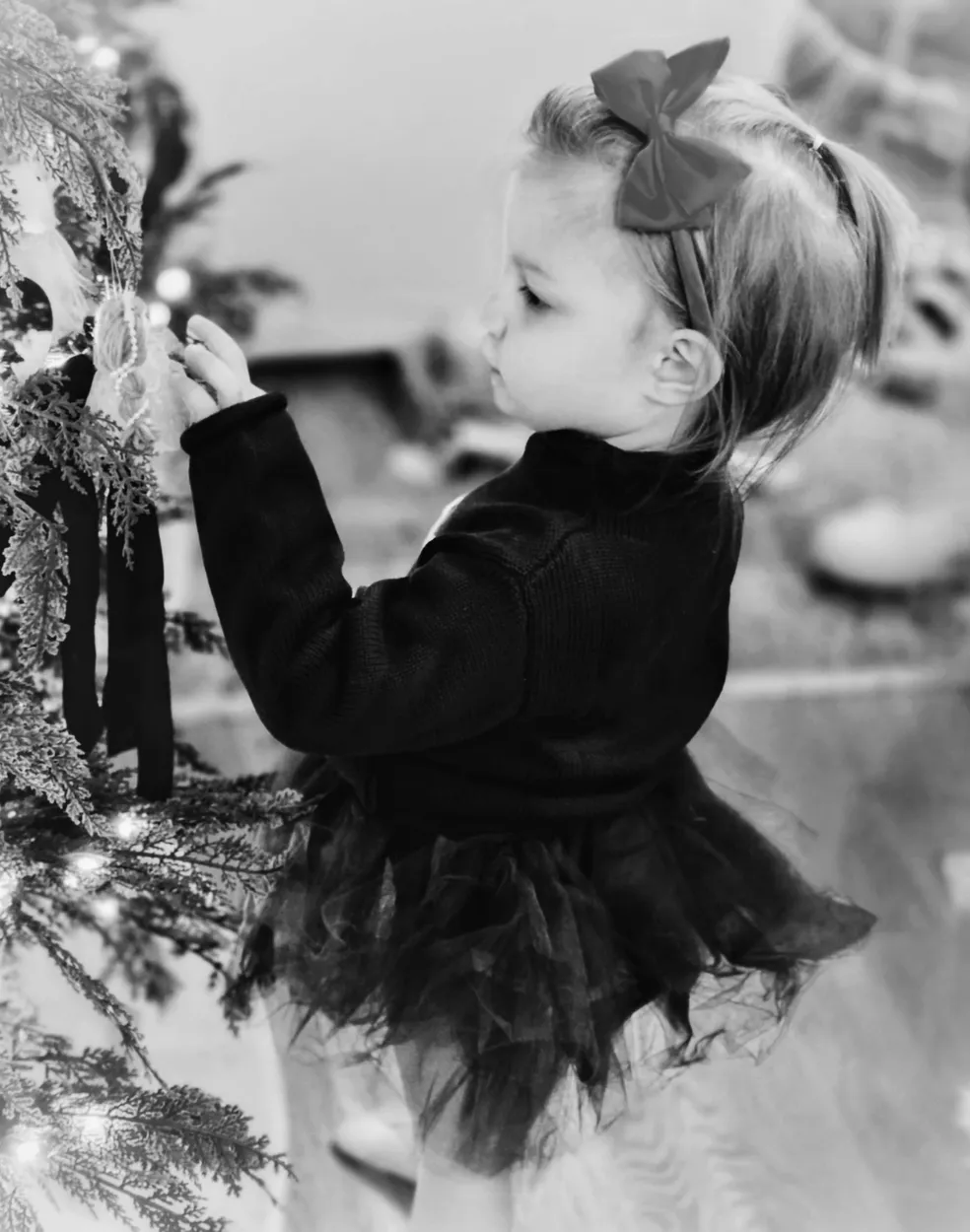 Entry 27036720