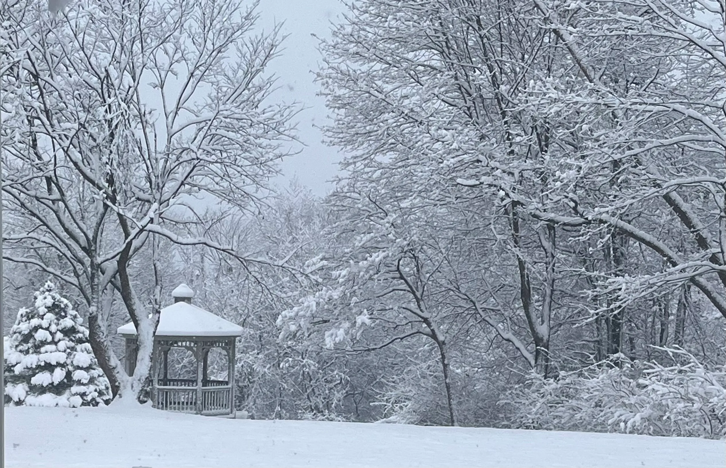 Morning After Snow