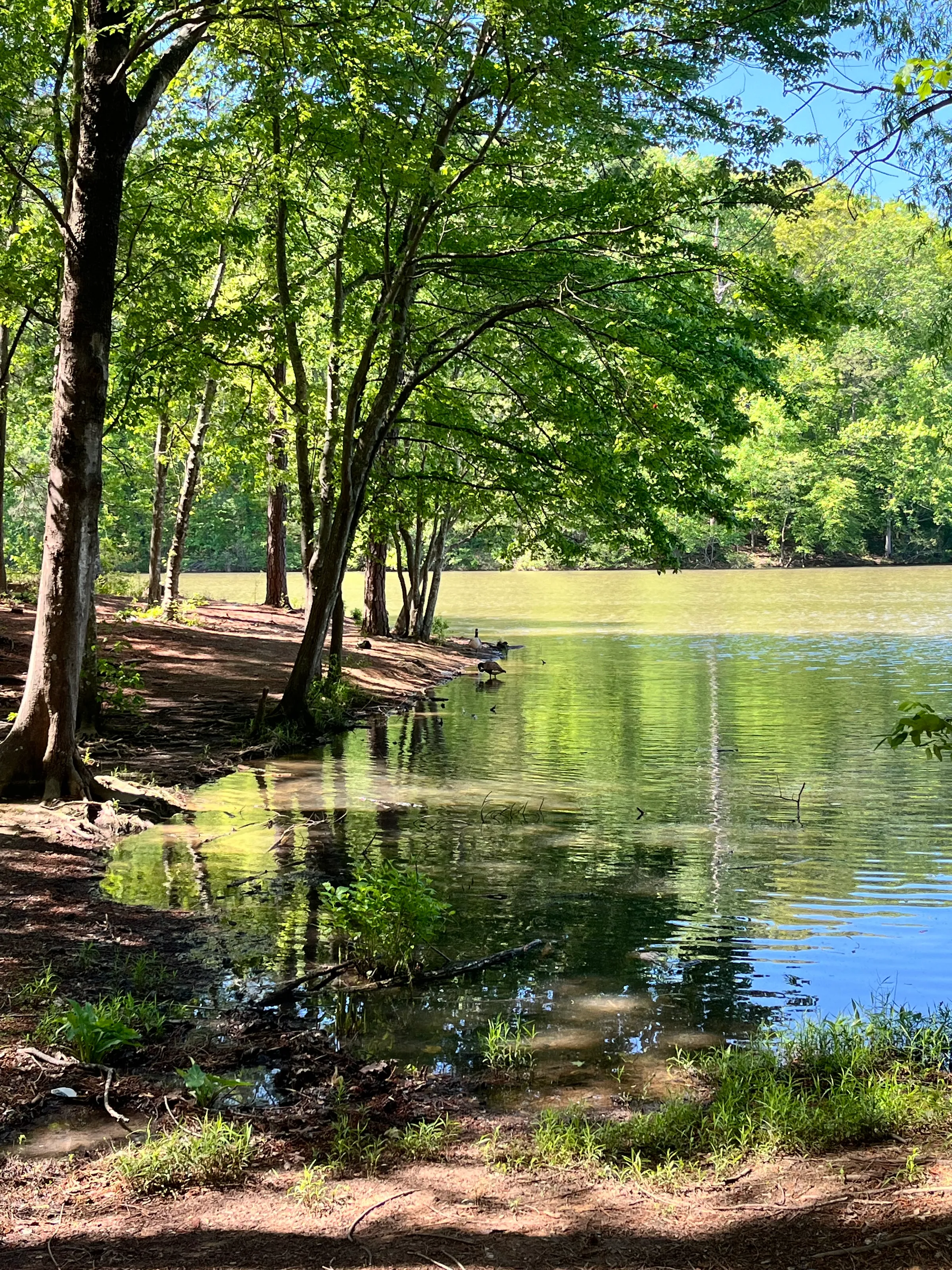 Tranquil