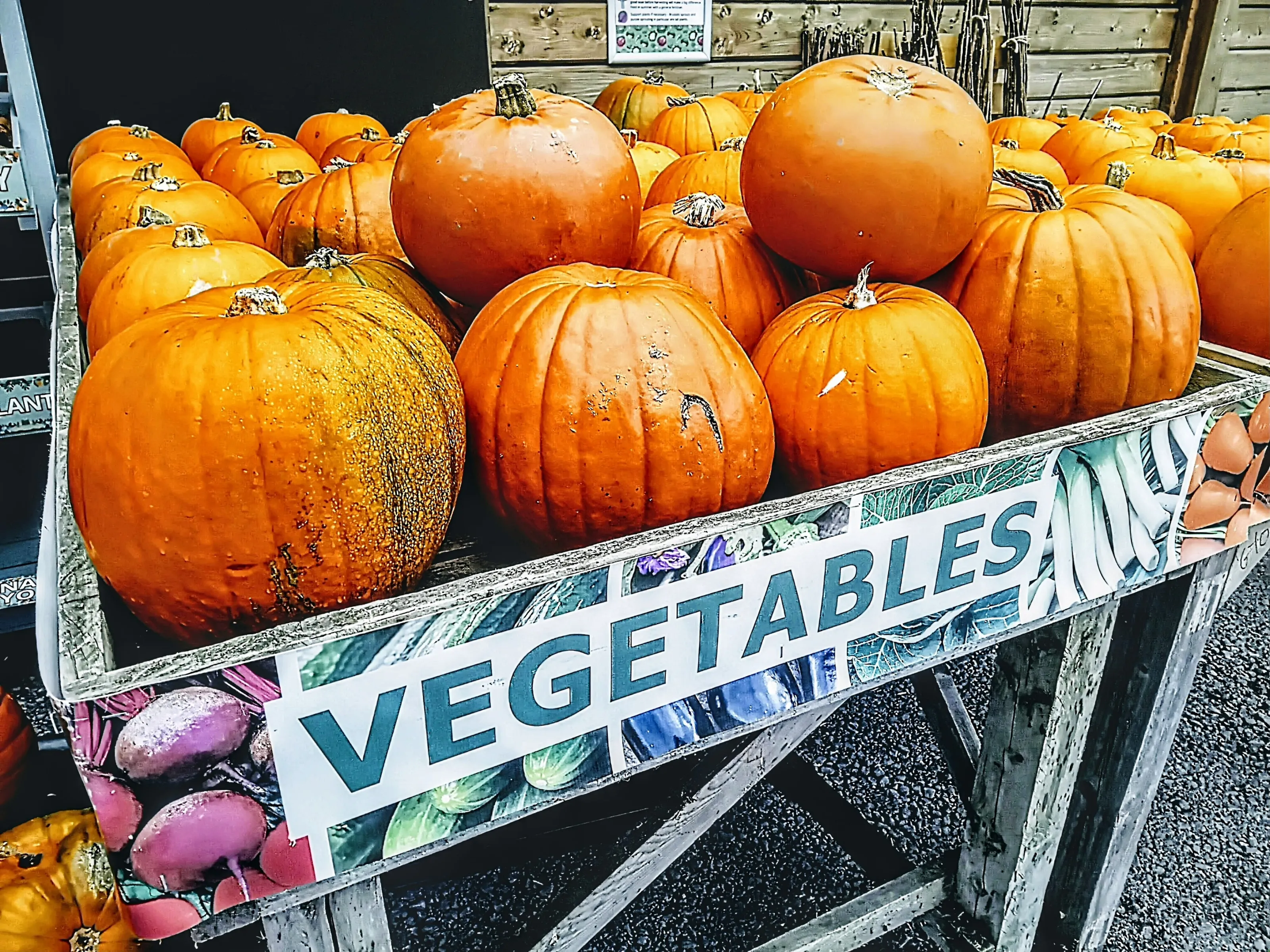 Pumpkins (not vegetables?)
