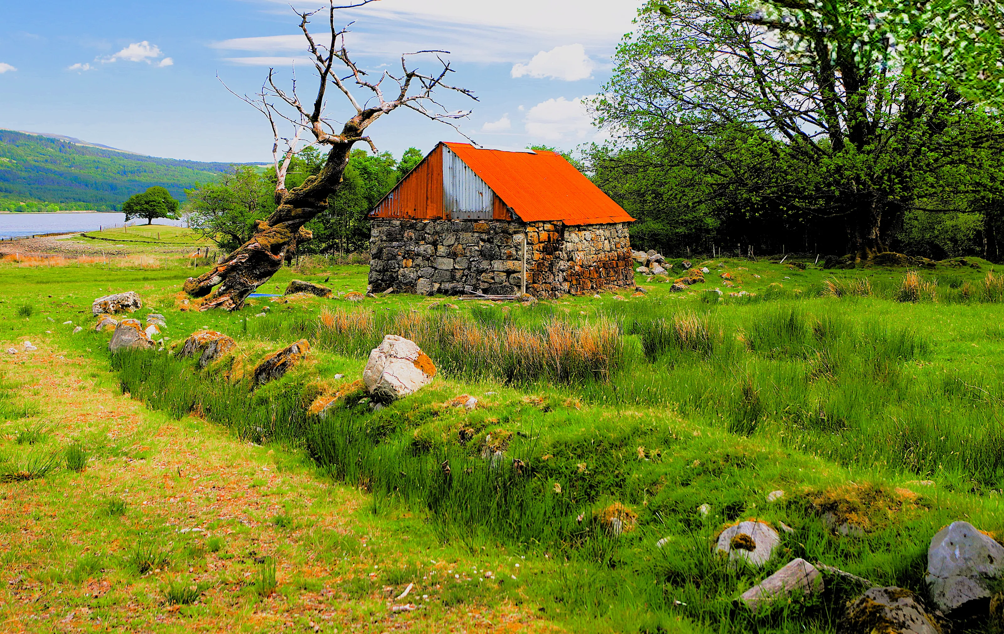 Red Roof