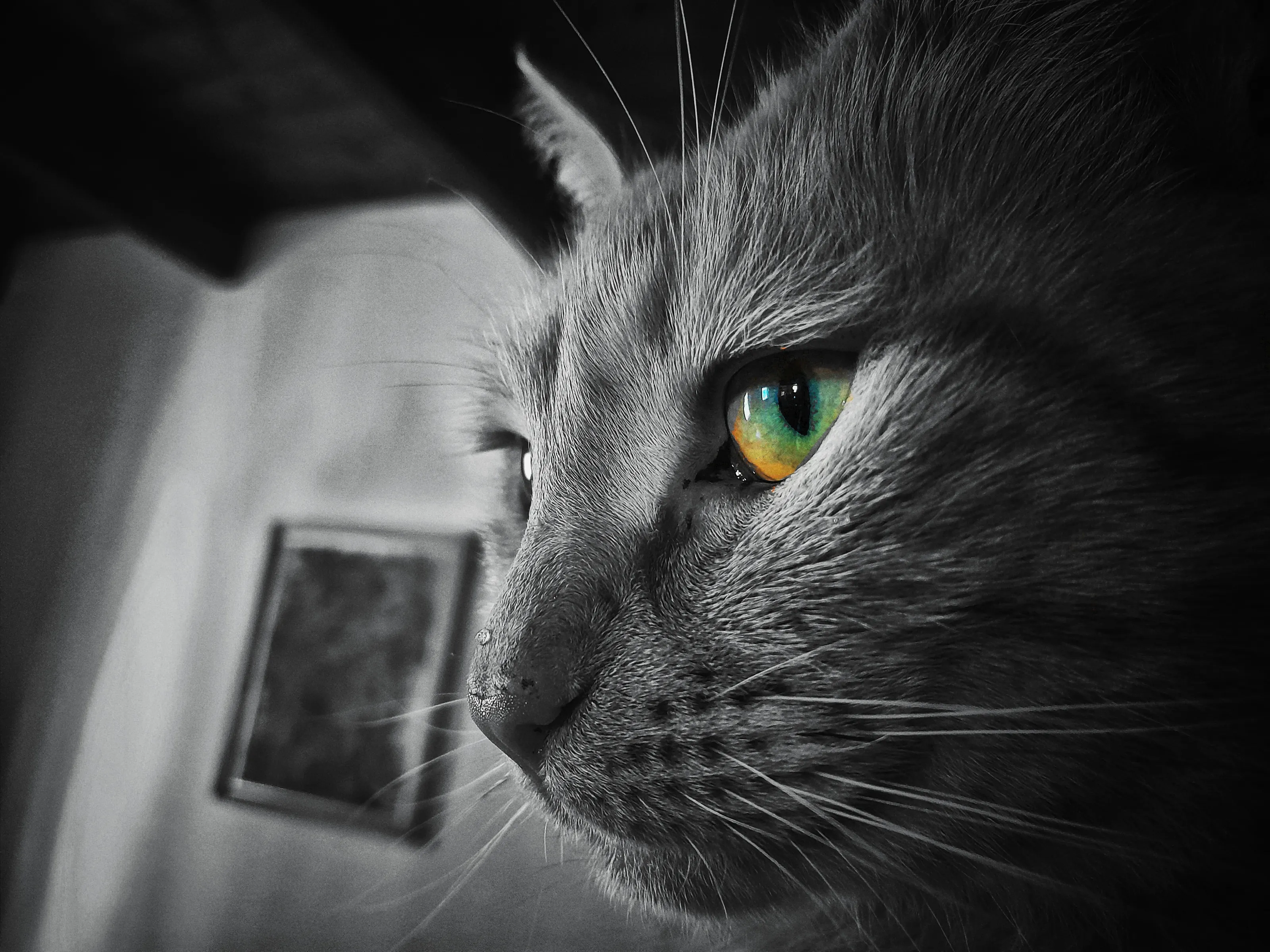 Her eye's