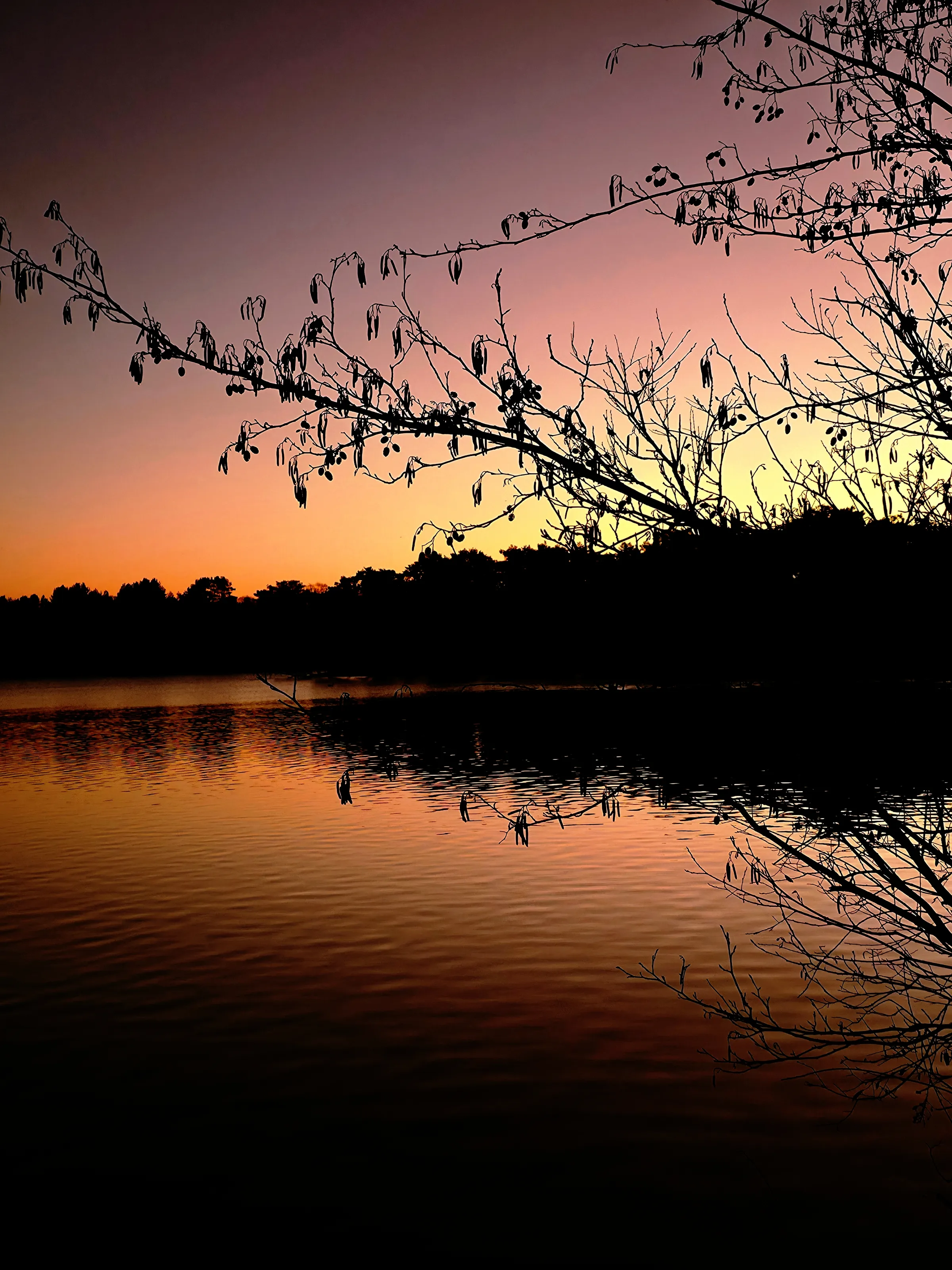 Dusk