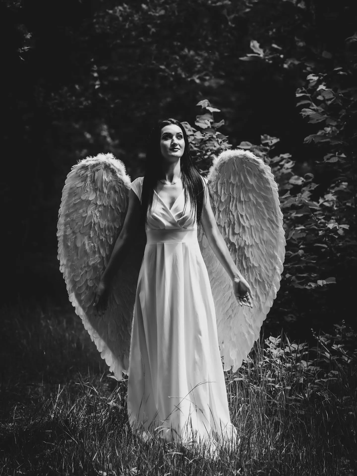 Where Stillness Grows Wings