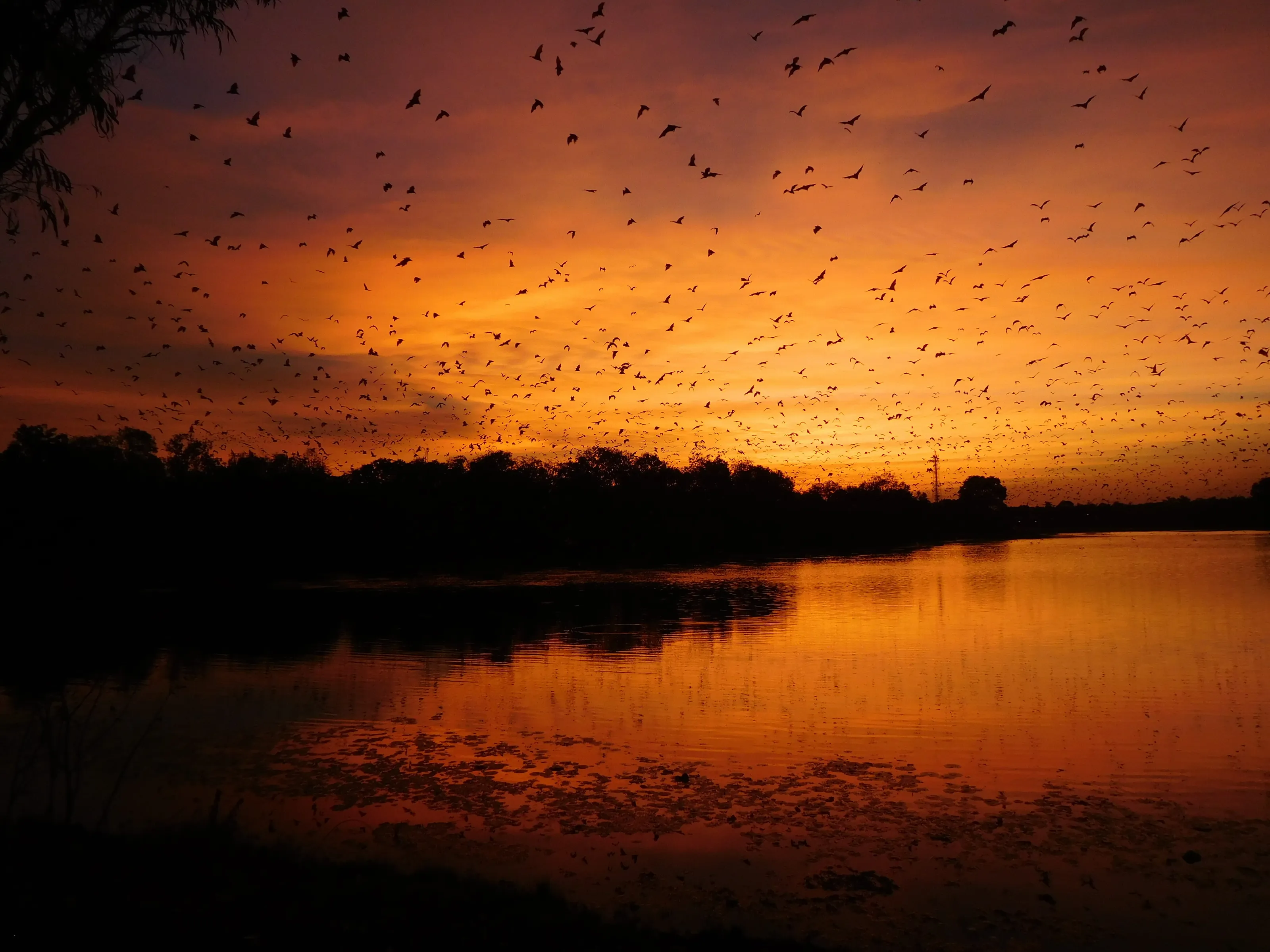 Jabiru lake adventures