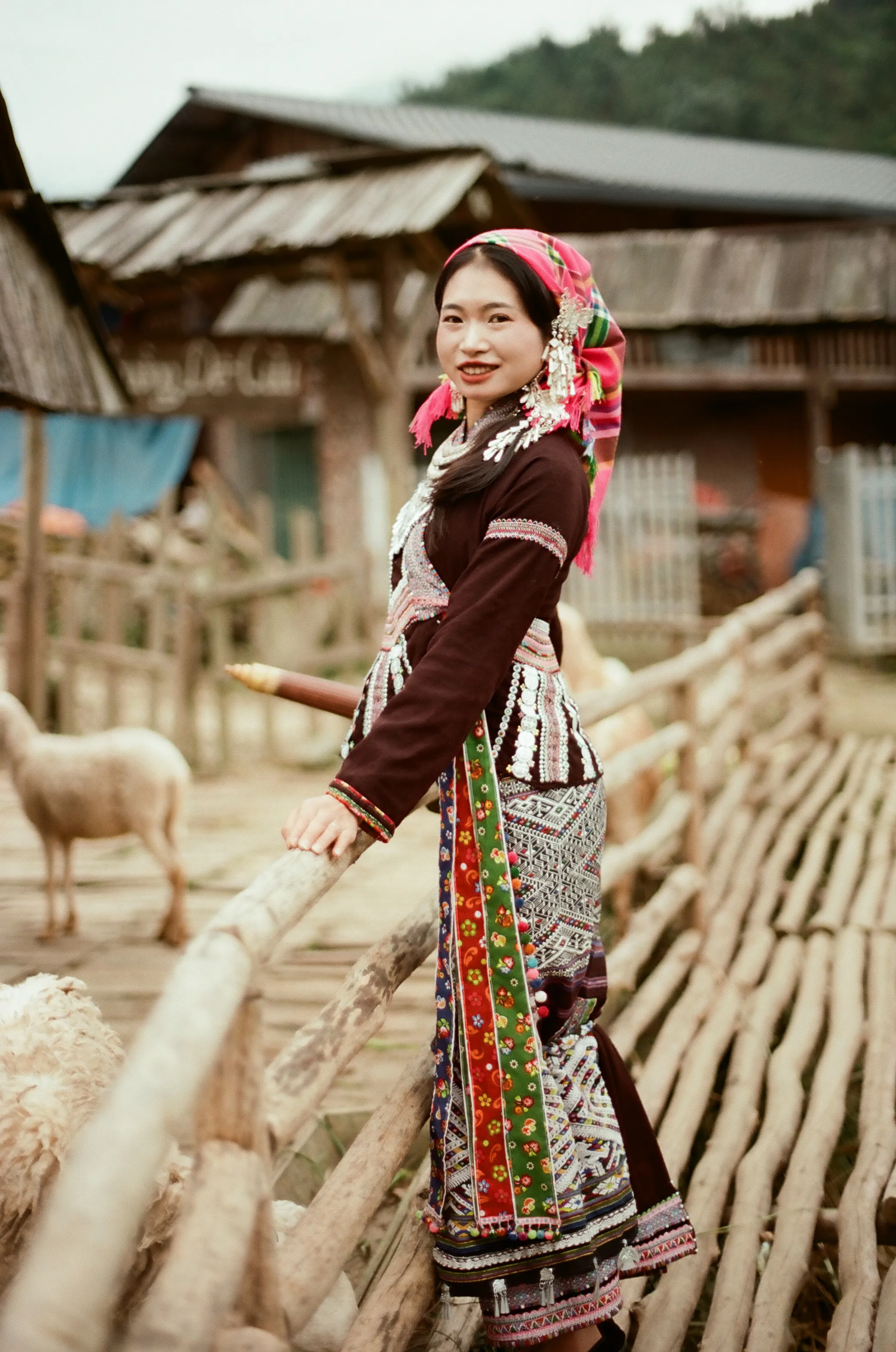 Hmong Beauty