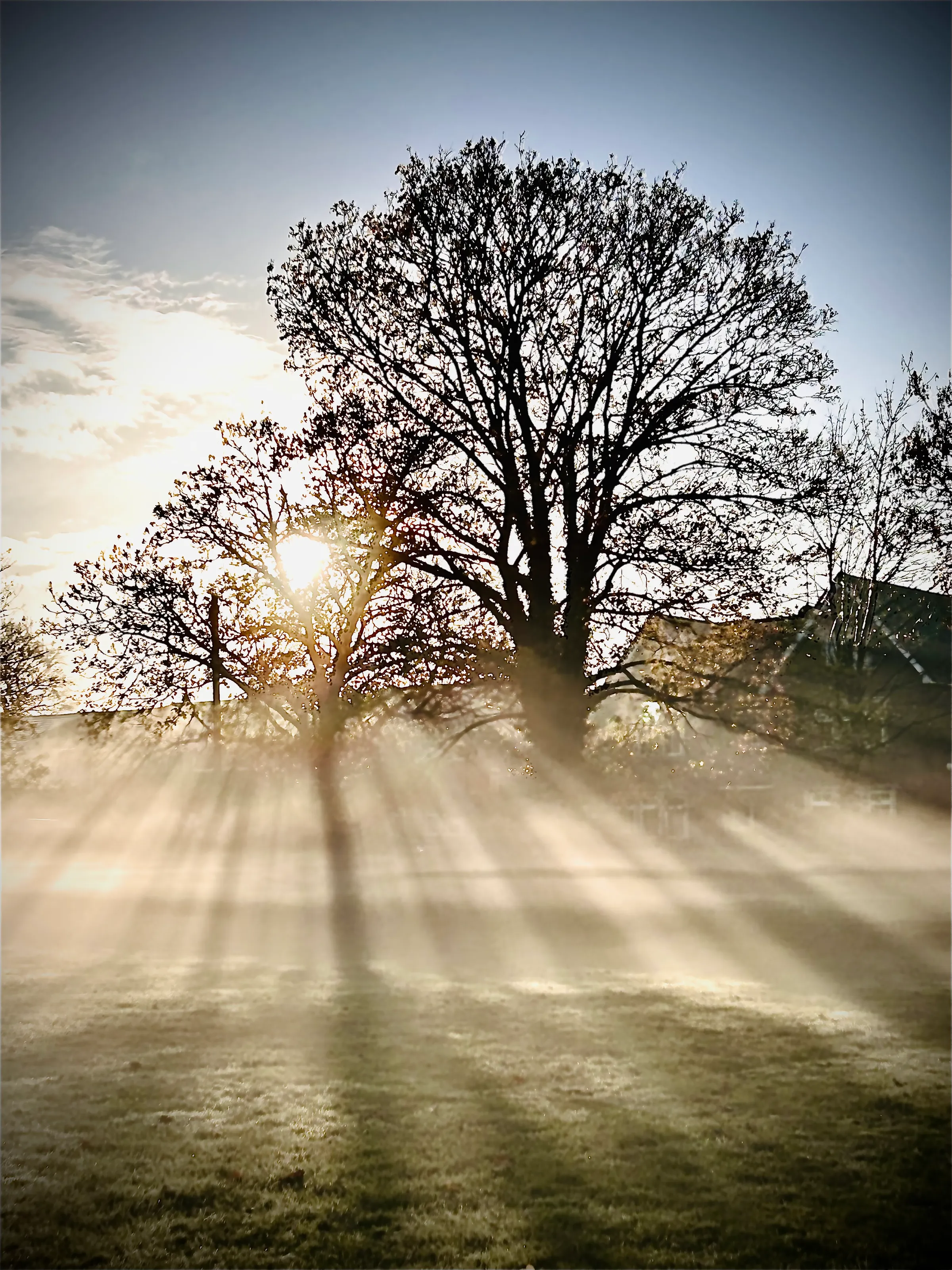 Morning has broken.