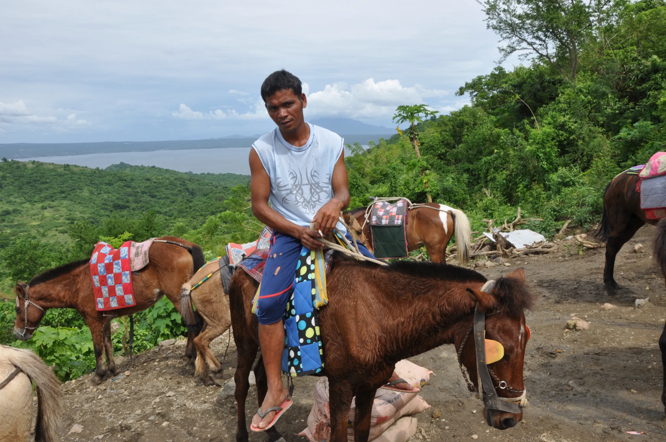 Man and Donkey