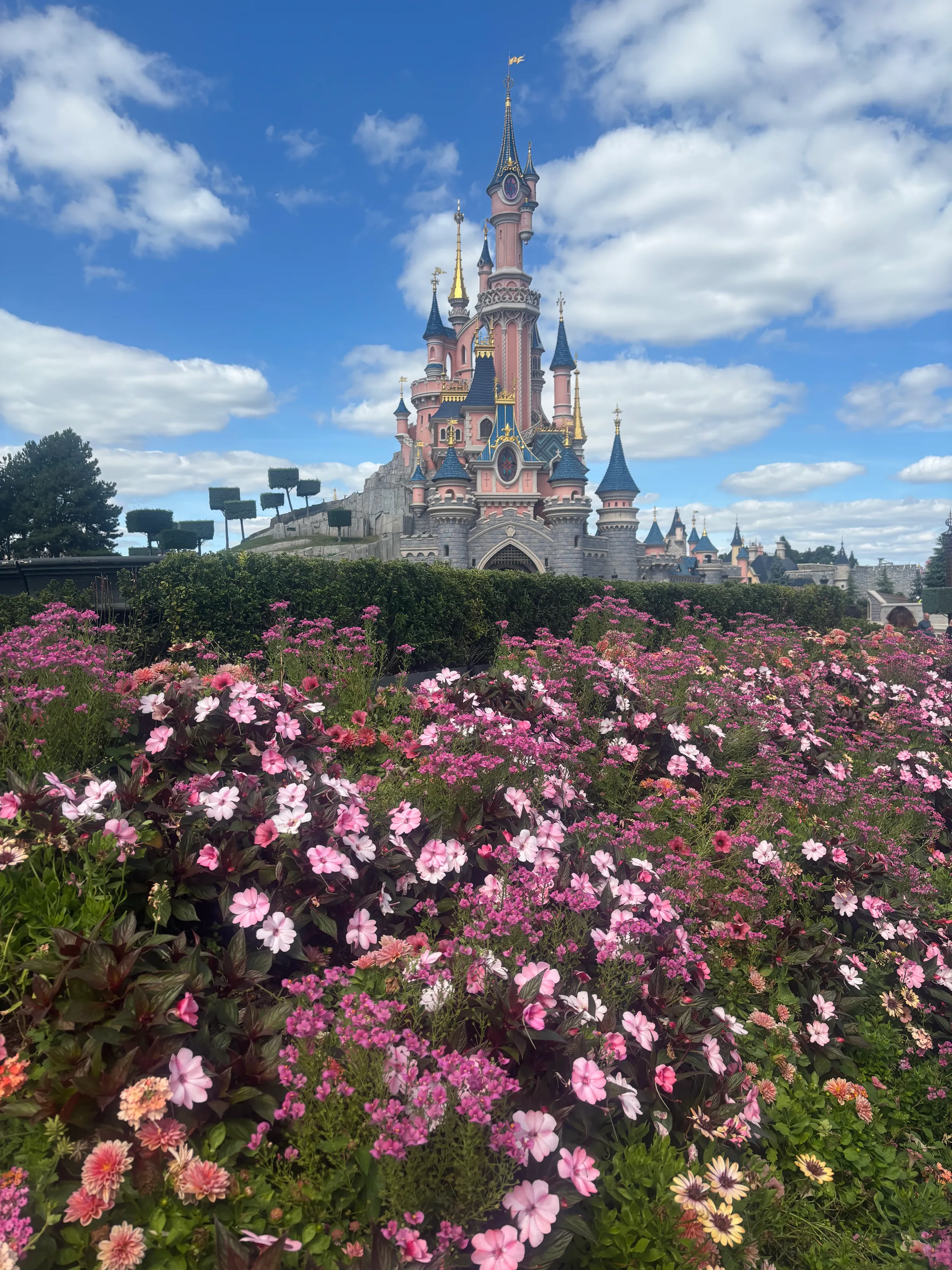 Crowded Palace