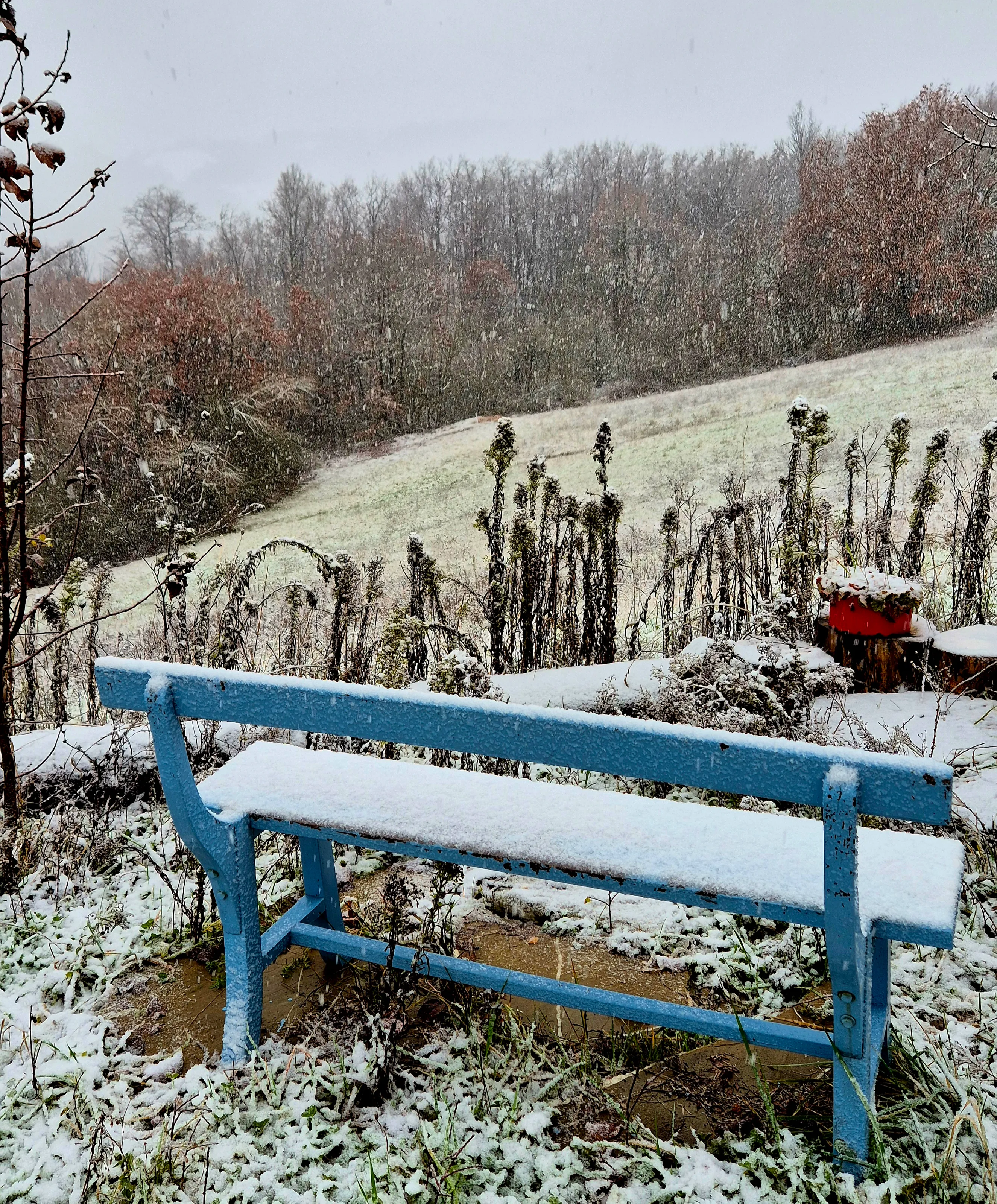 Winter Bench