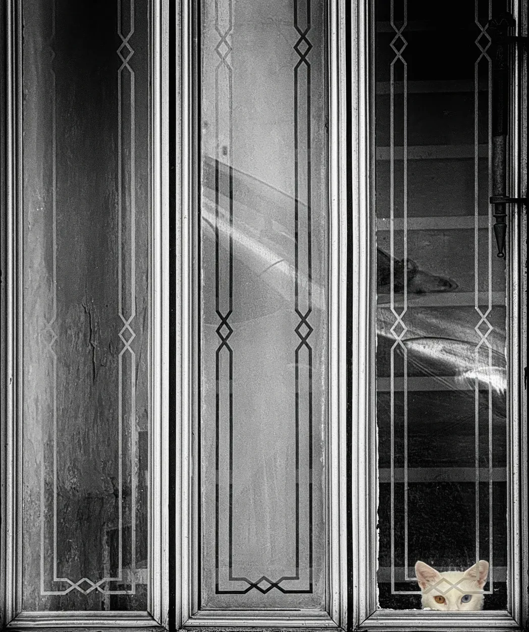 Entry 27124033