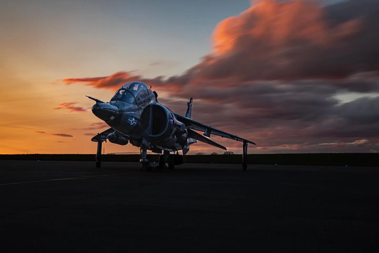 Harrier at night