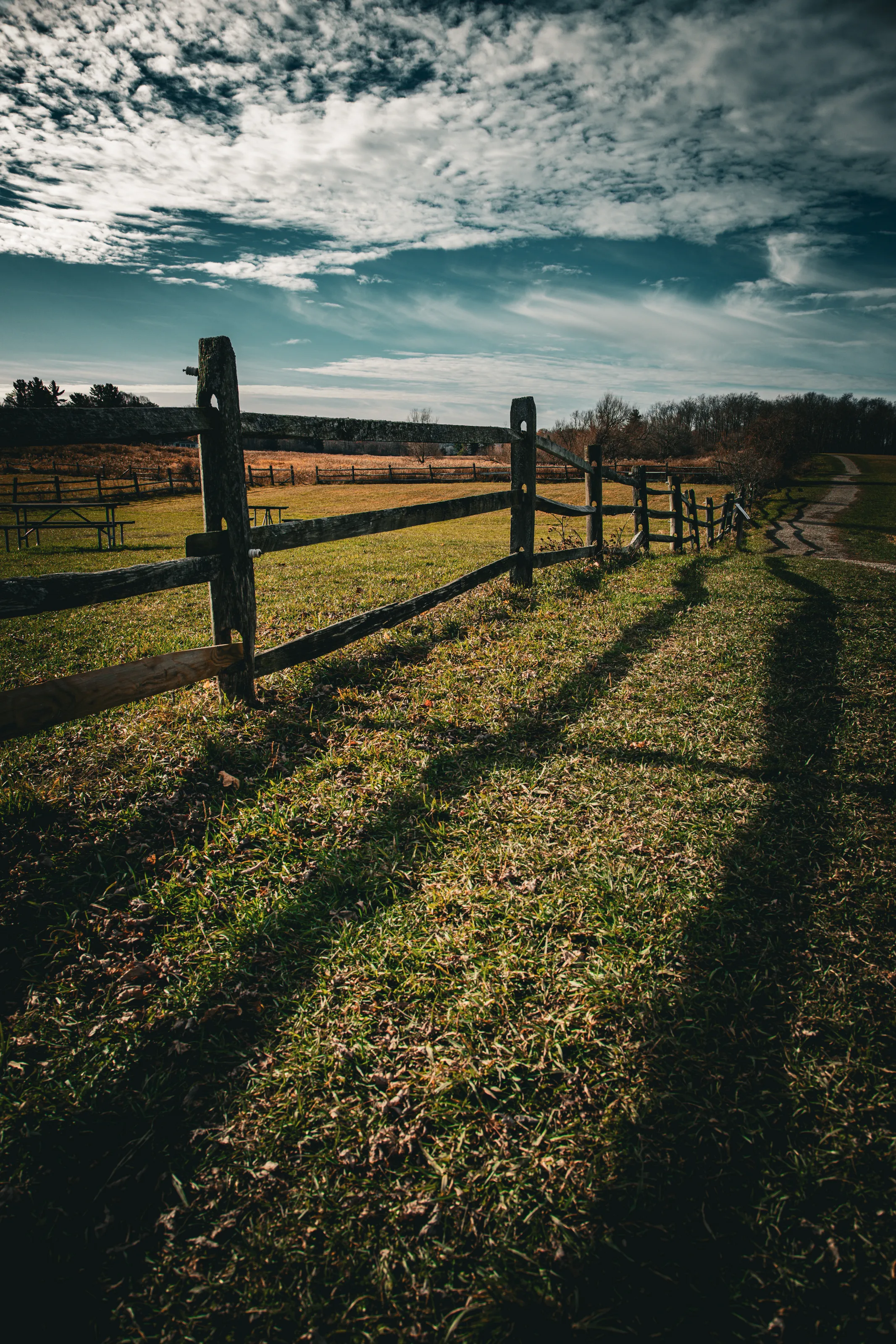 fencedin