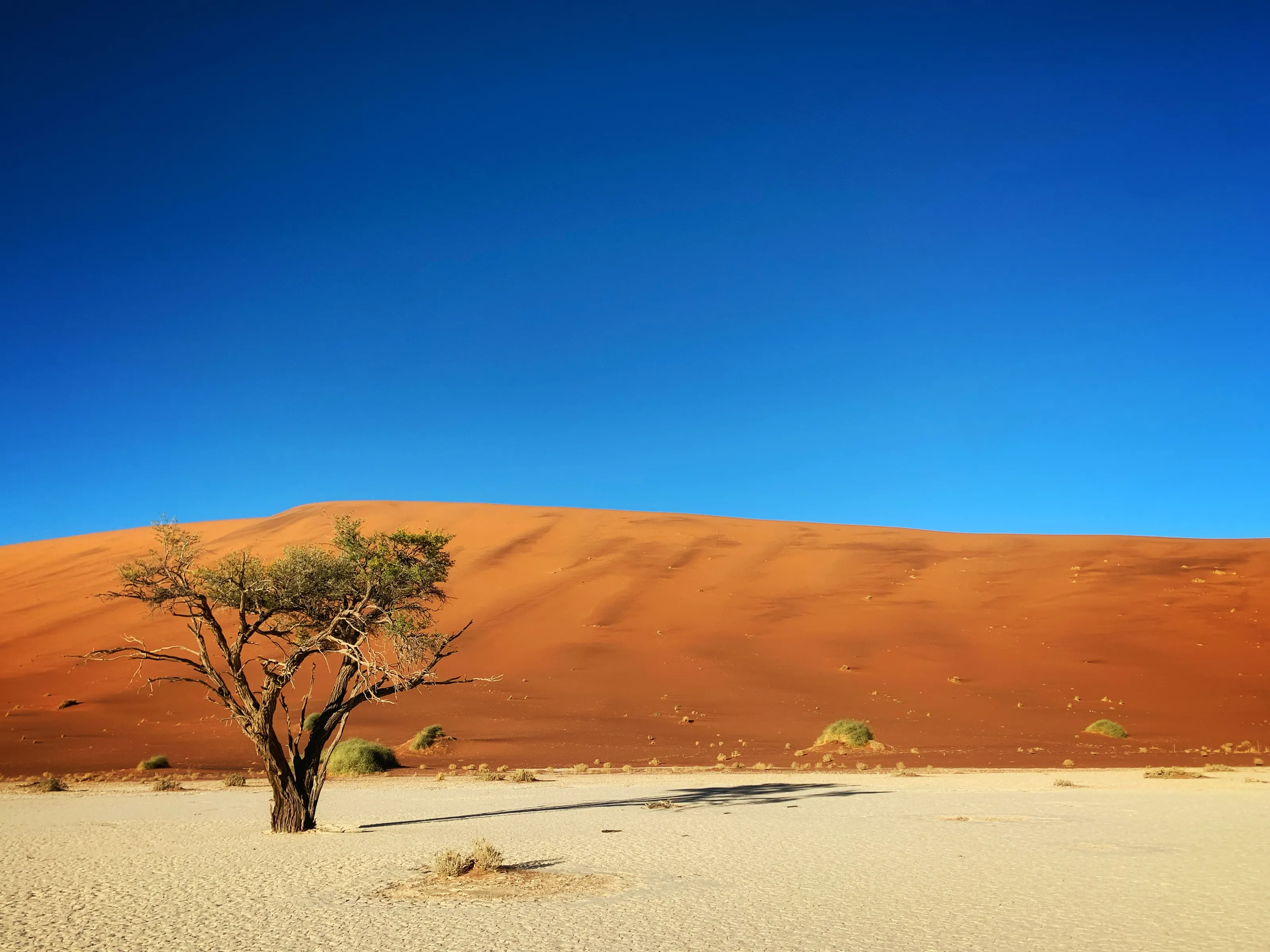 Namibian desert Landscape