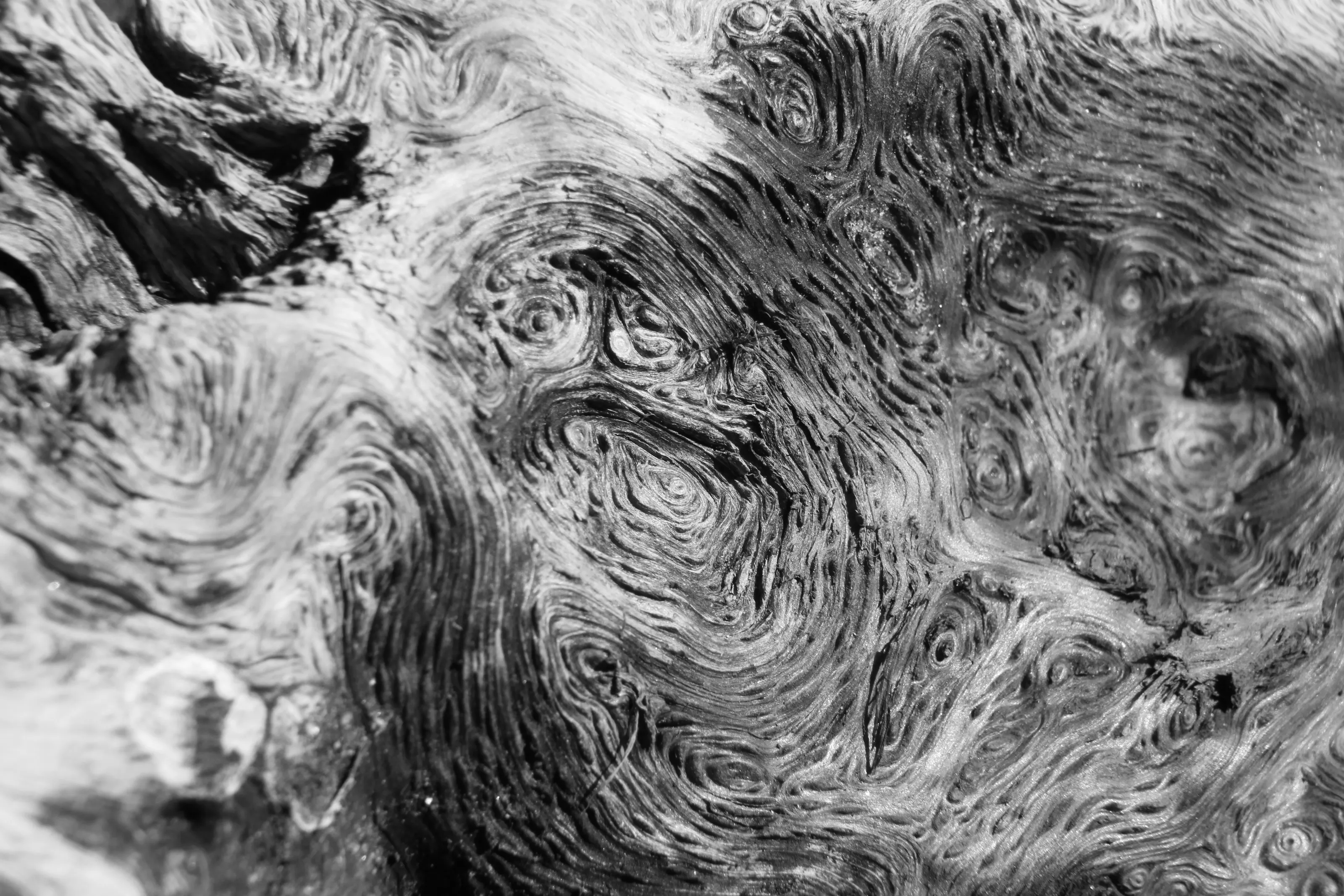 Wood flows