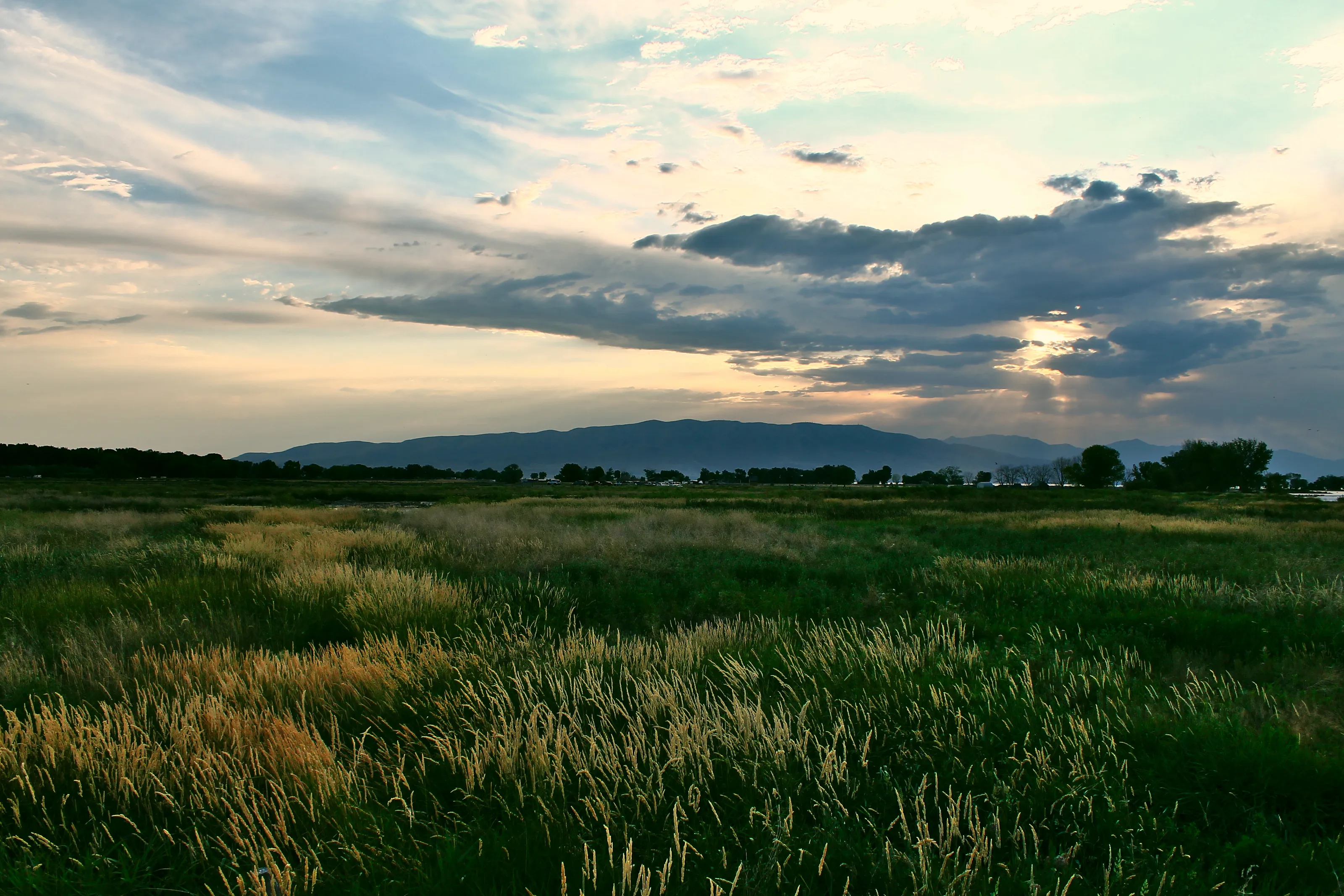 West Provo Landscape