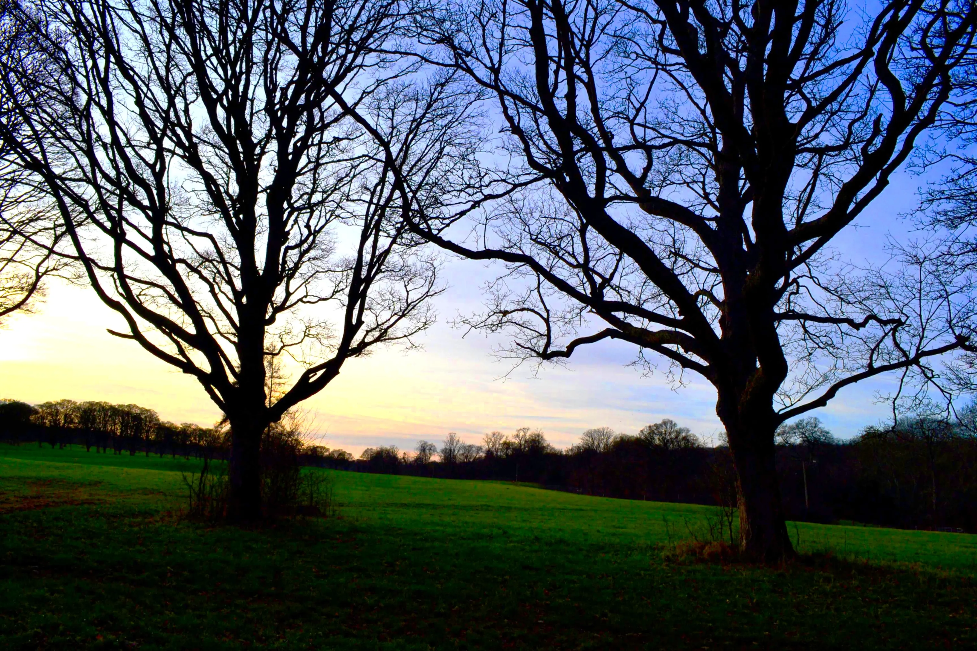 Day's End