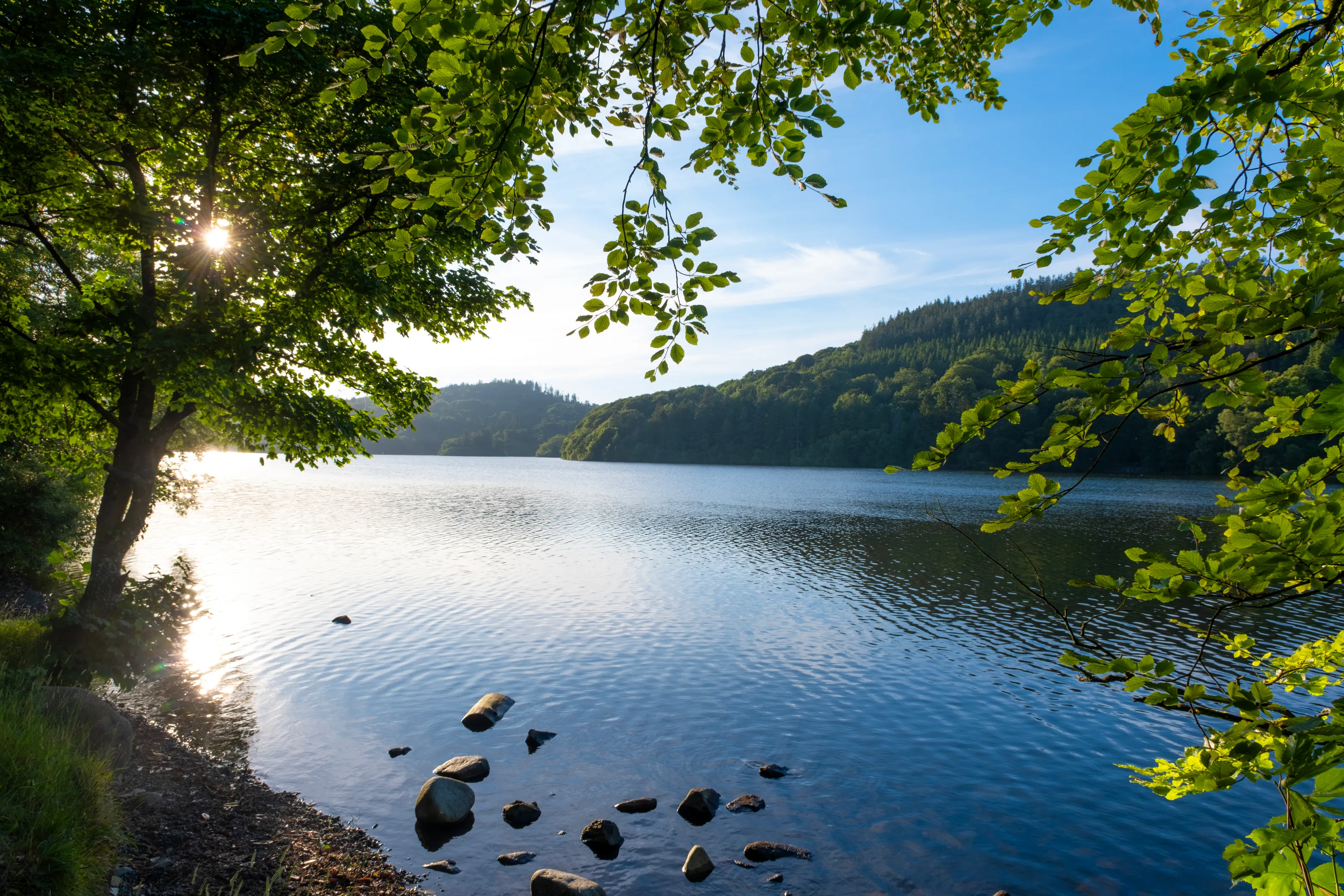 Castlewellan Lake