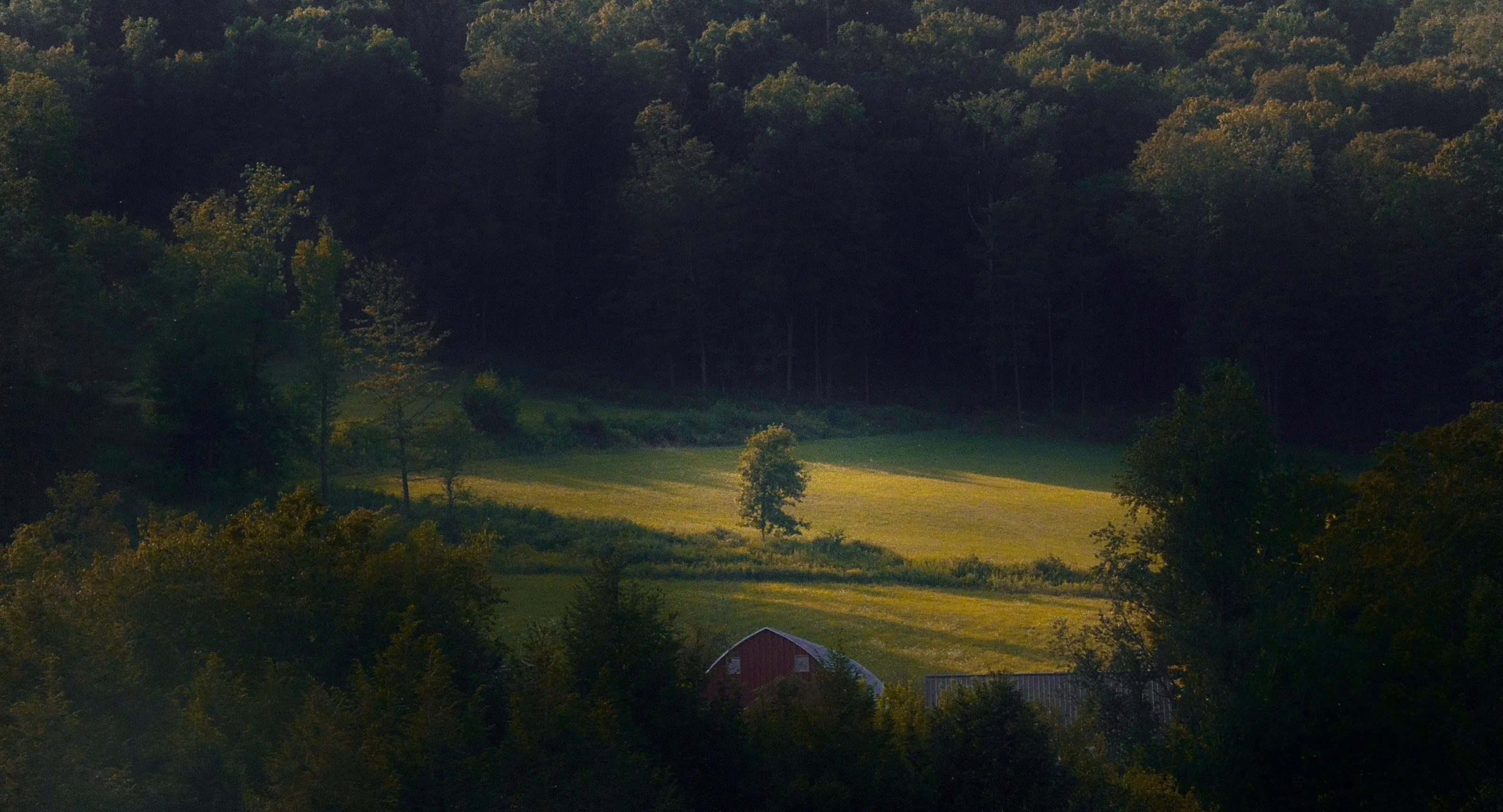 Solitude