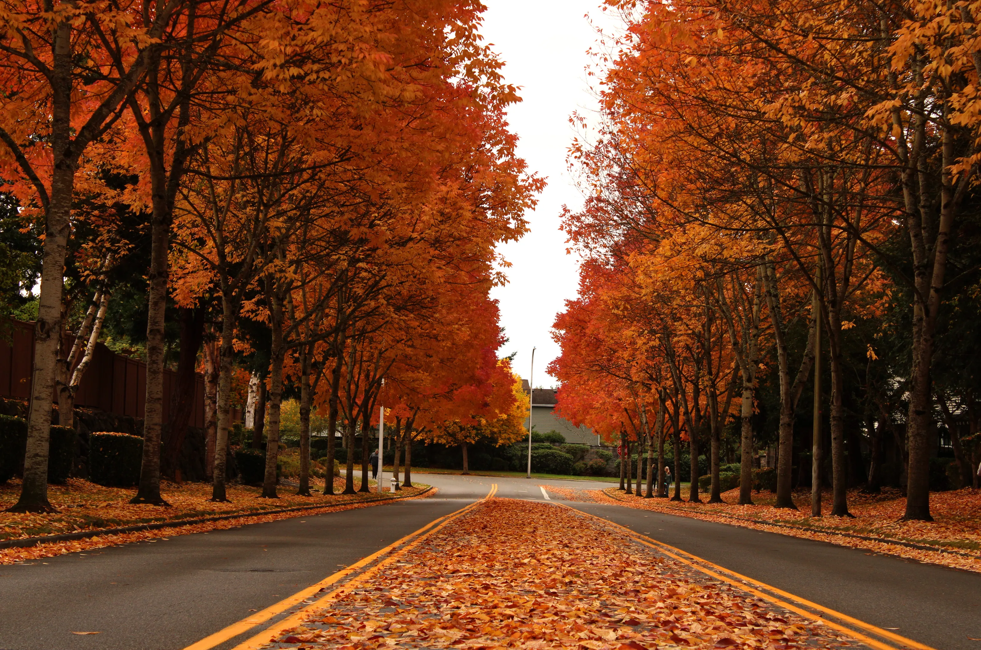 A Day in Fall