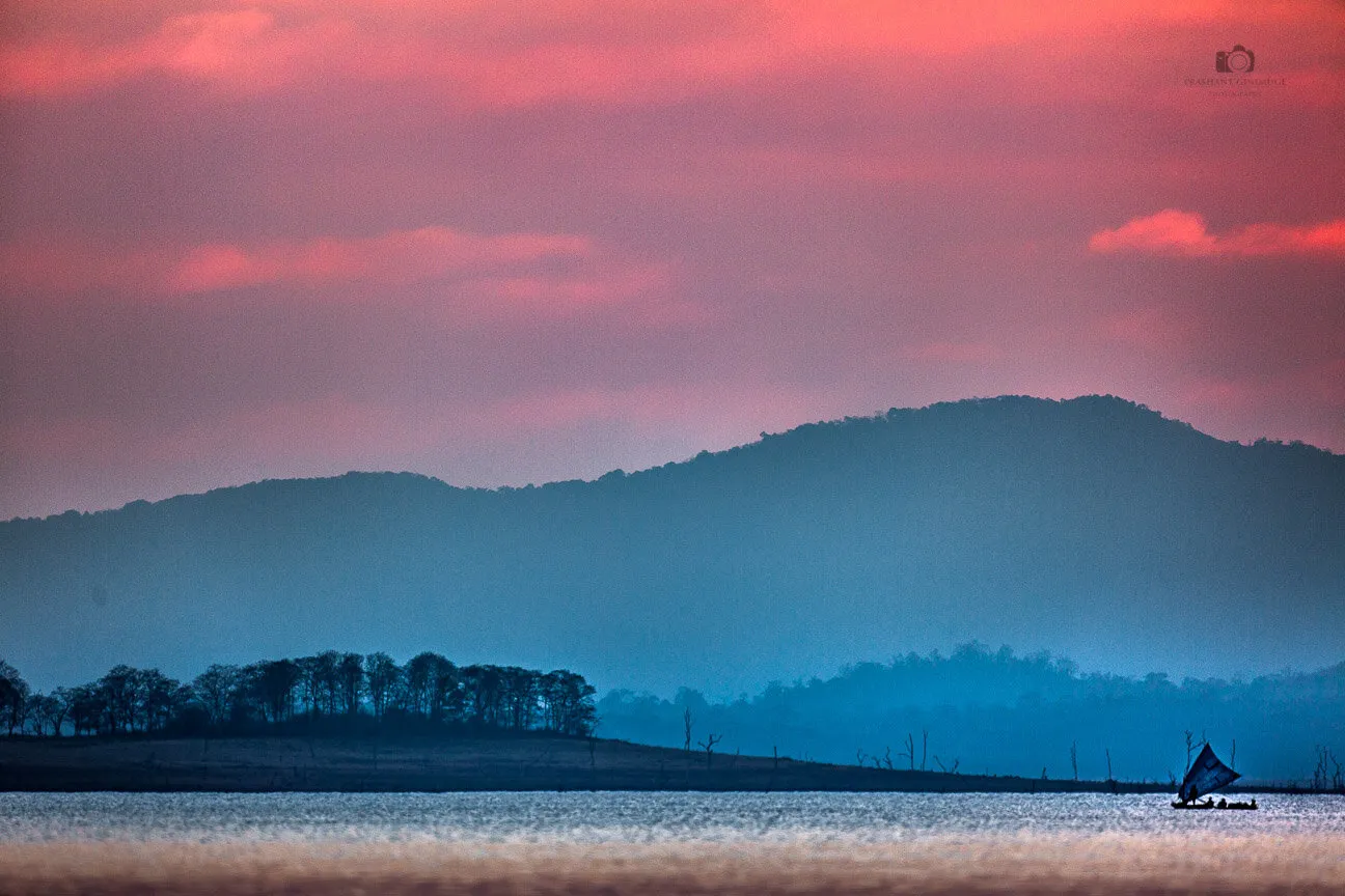 Pink and Blues