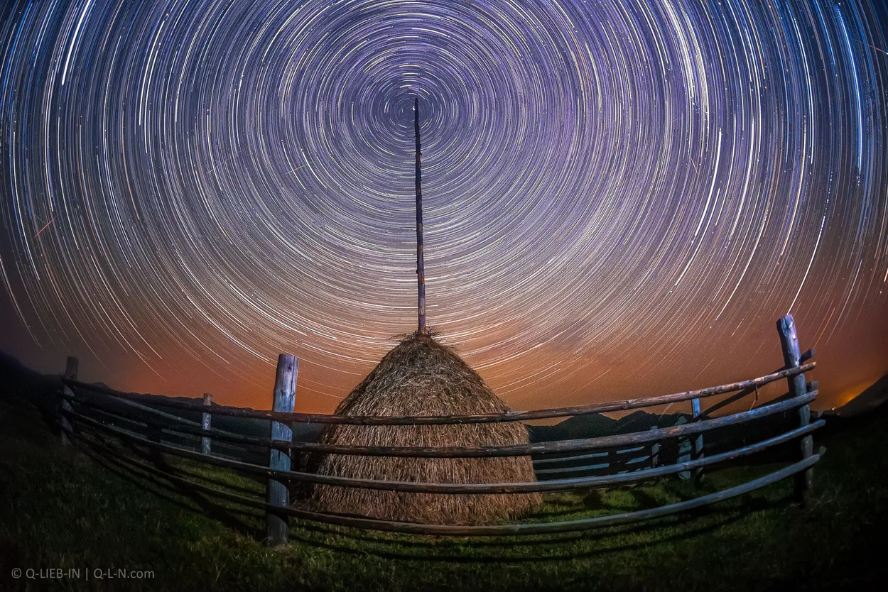 Entry 3223094