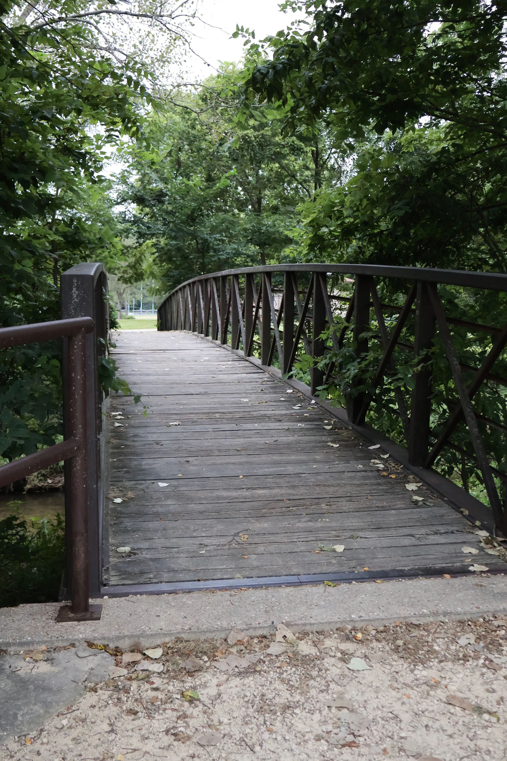 Bridge Over Happy Waters