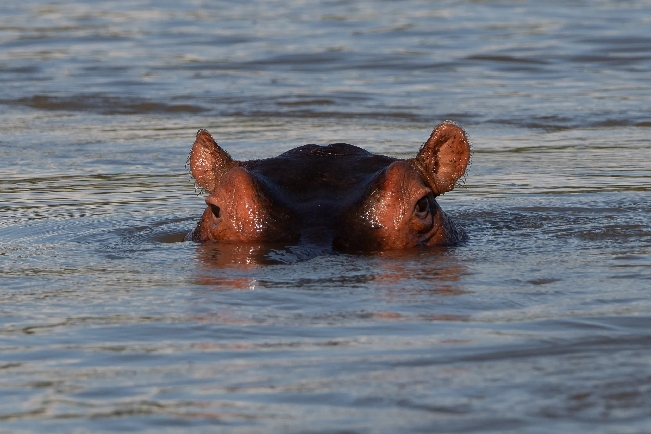Below the Surface
