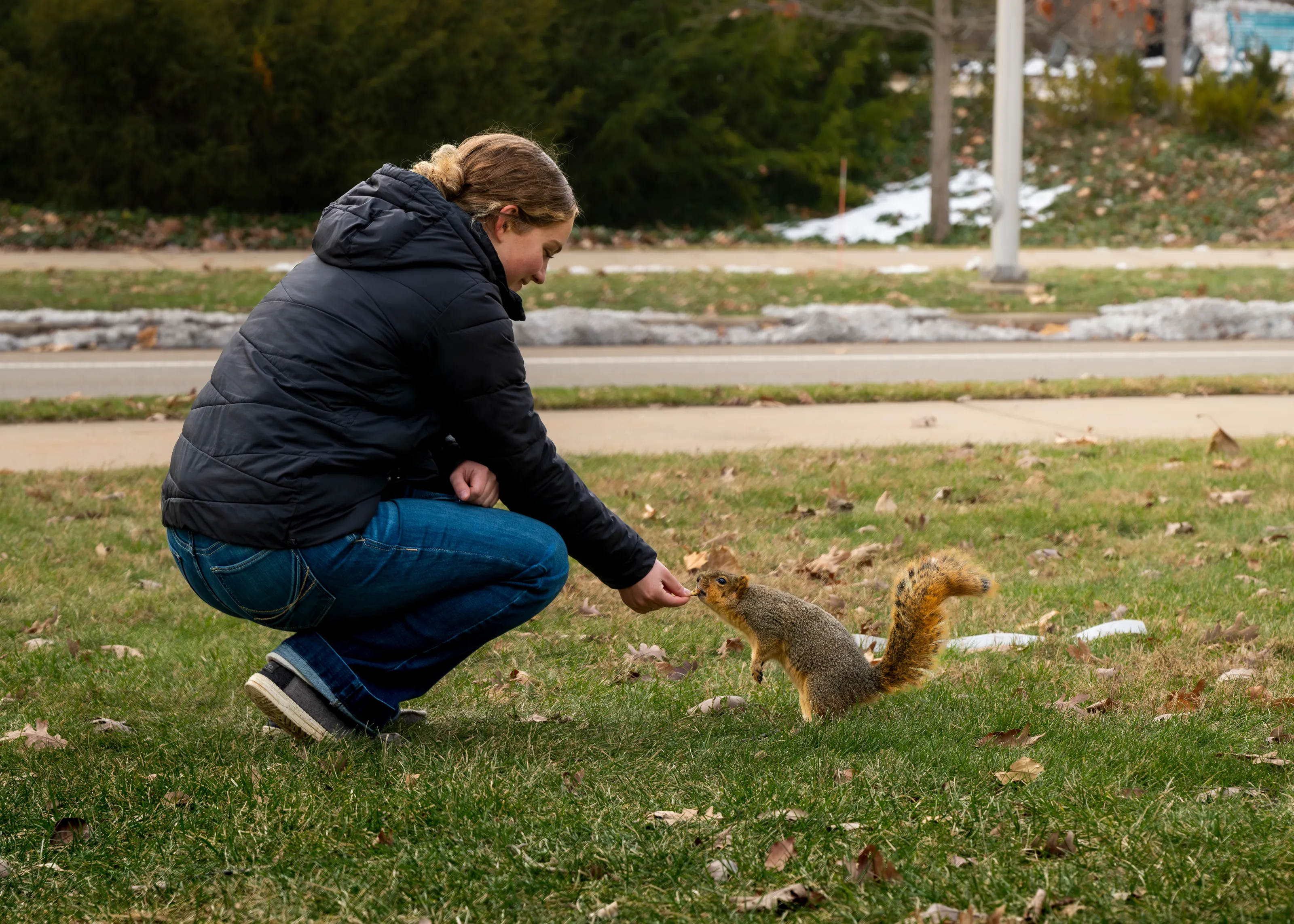People Feeding Animals