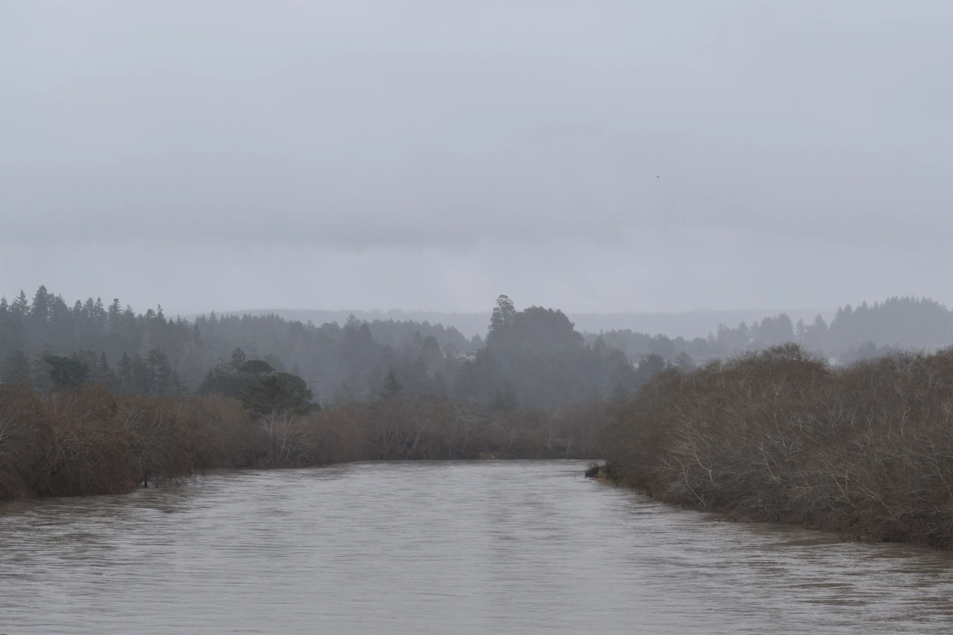 Standing on a bridge