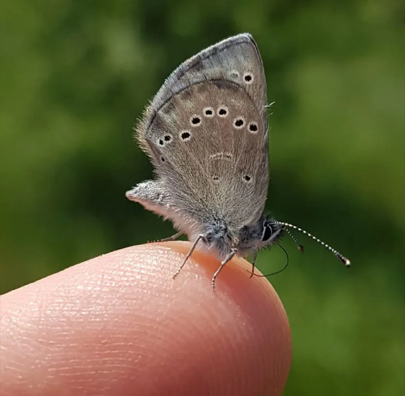 A little visit from a tiny friend.