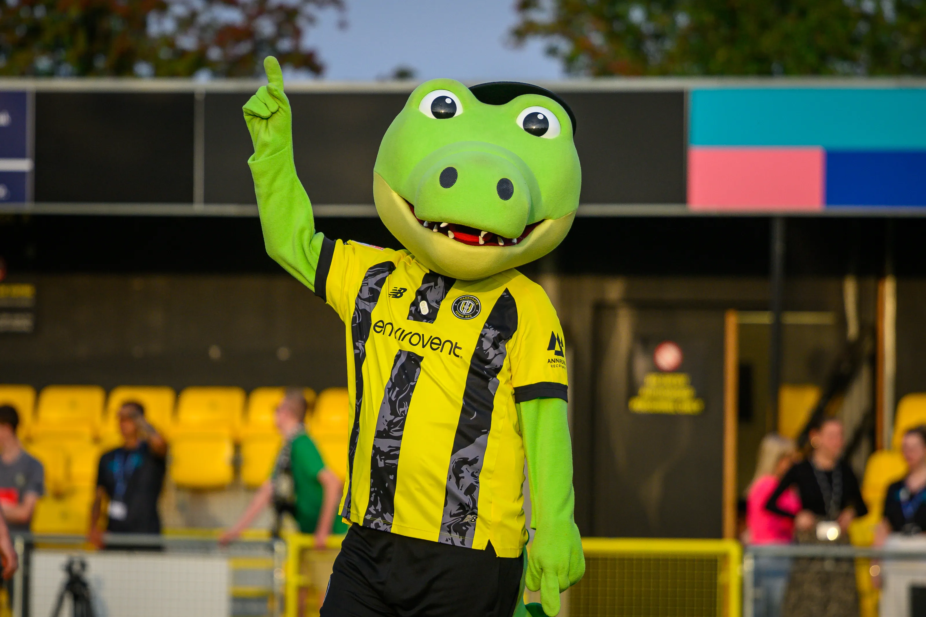 Sports Team Mascots (in colour)