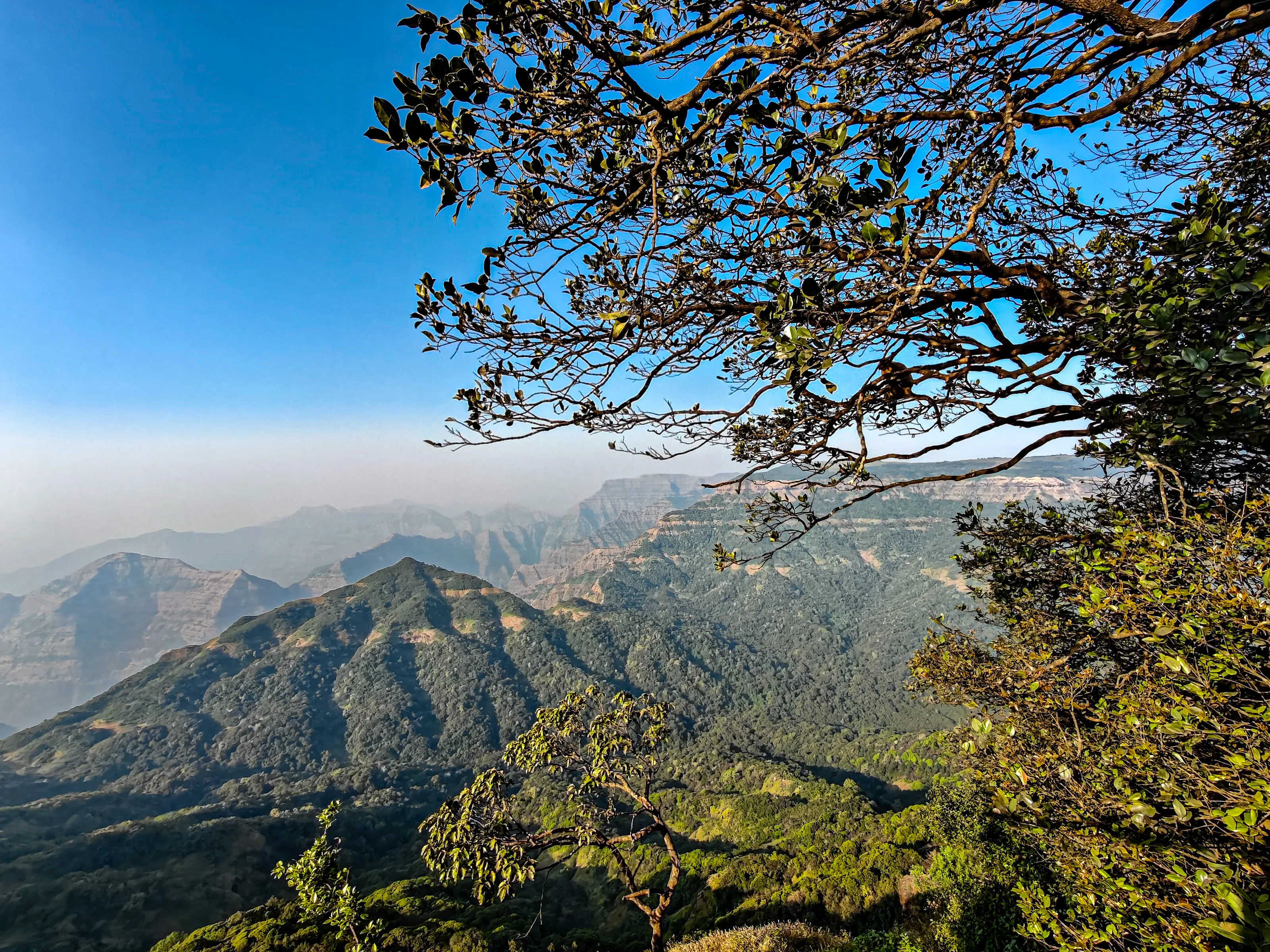 The Sahyadri Sentinel