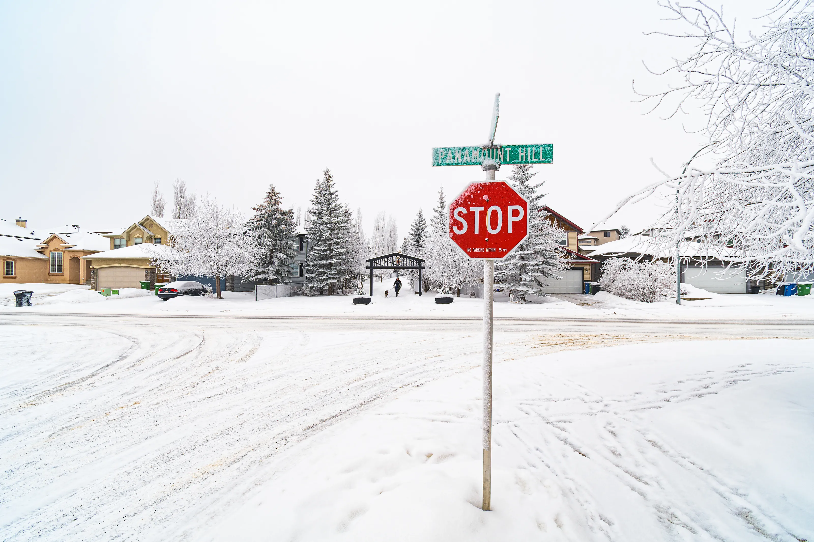 Urban Winter Scenes (in colour)