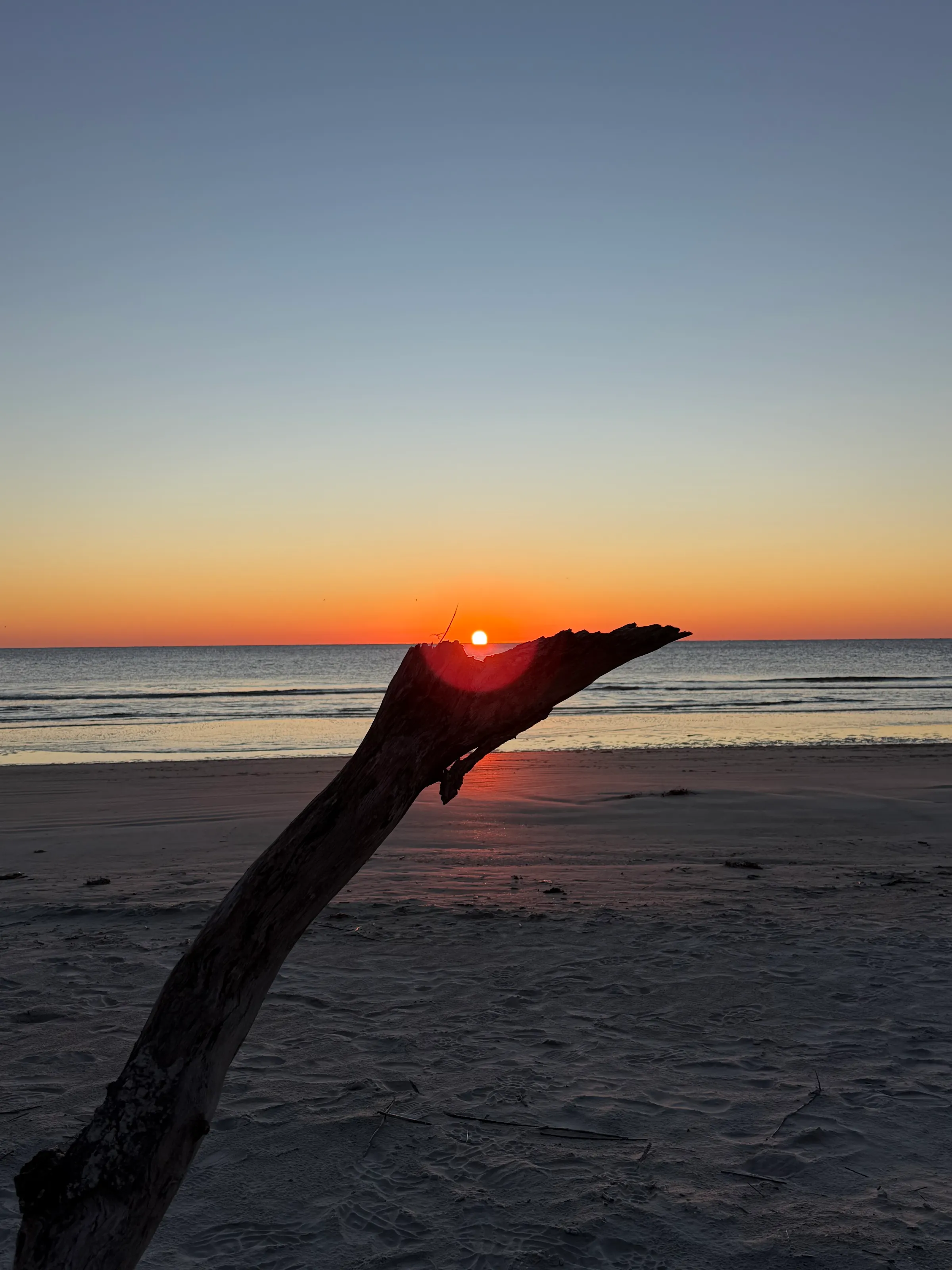 Driftwood & Sunrise