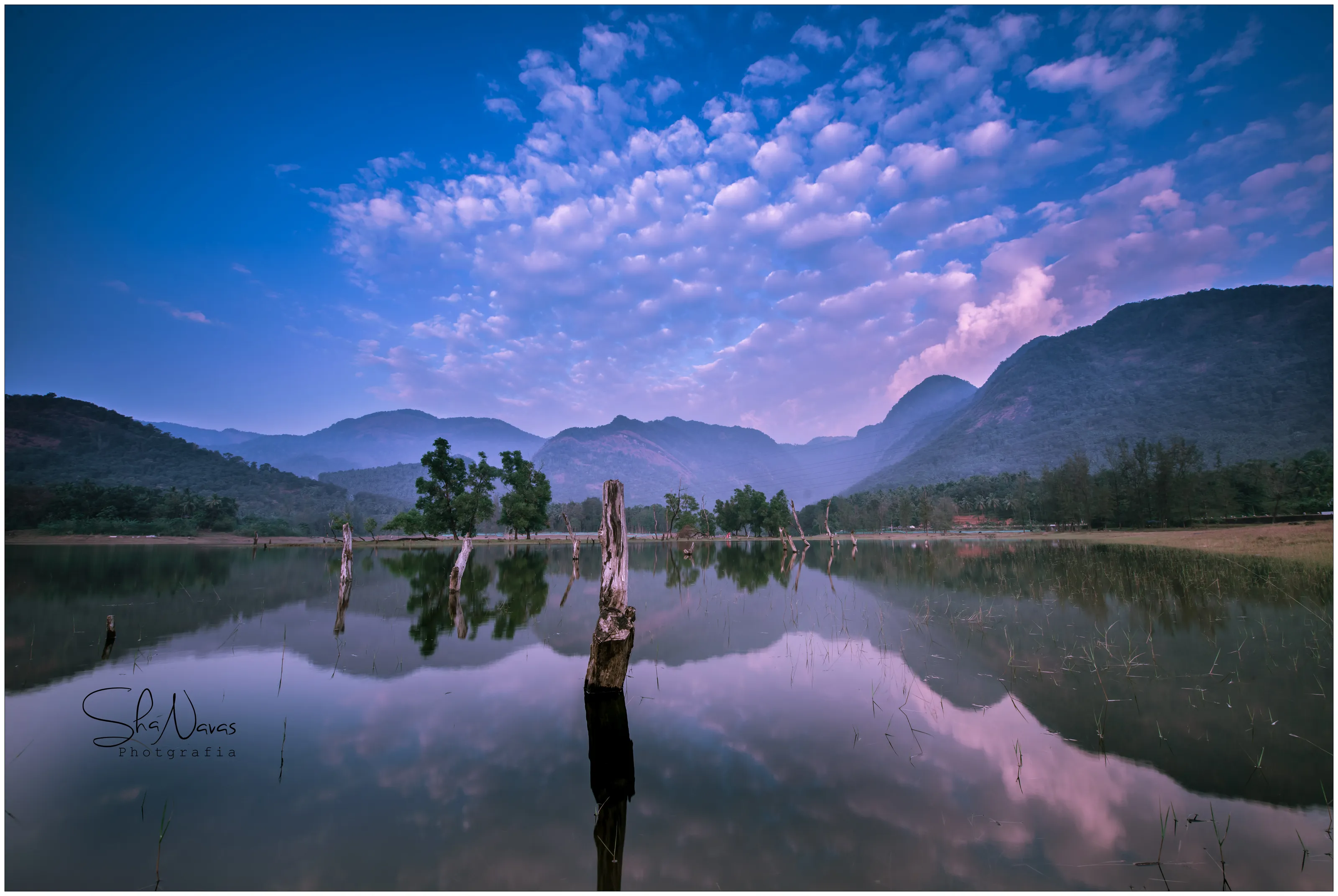 Beauty of Nature
