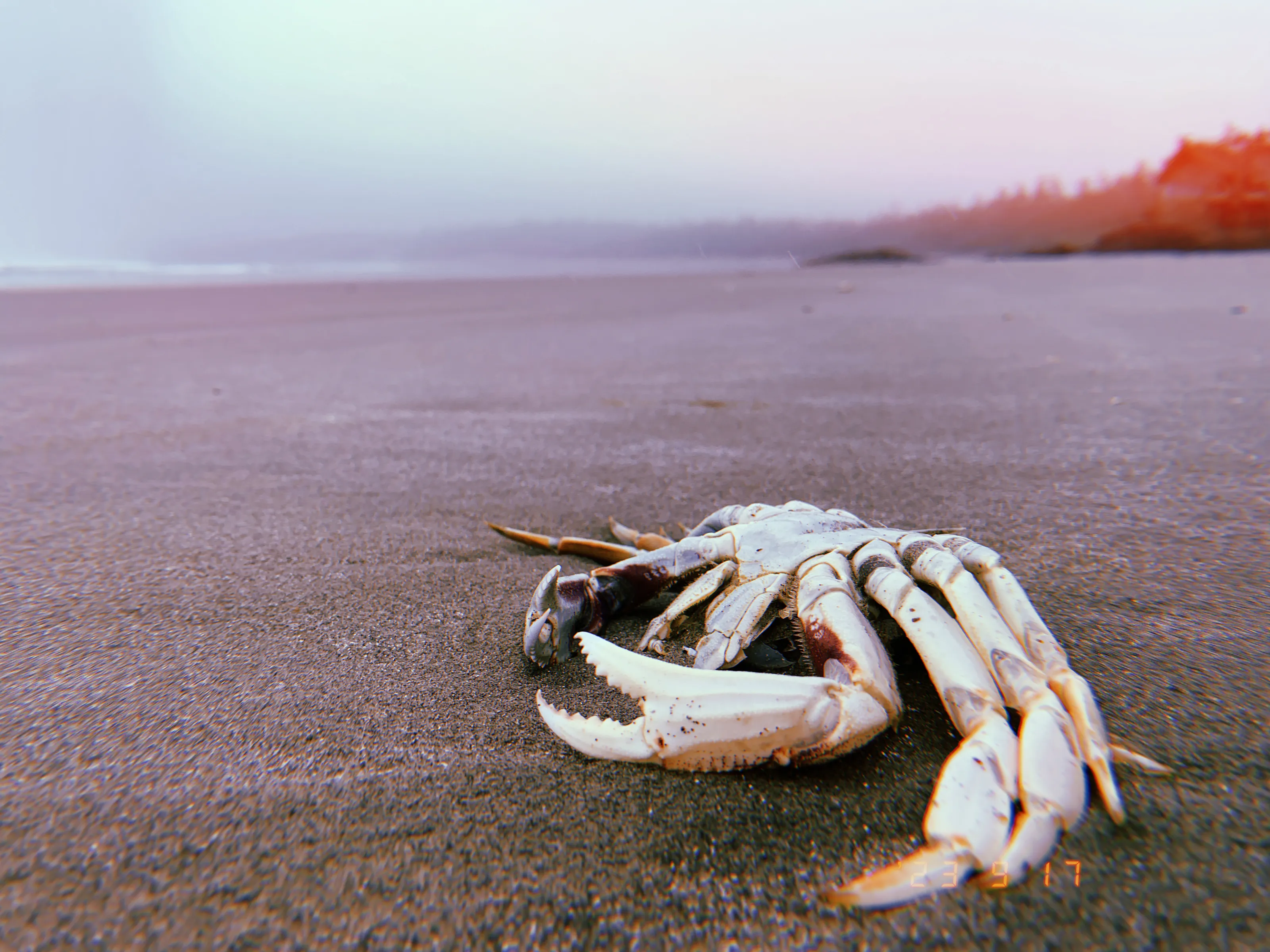 Stranded