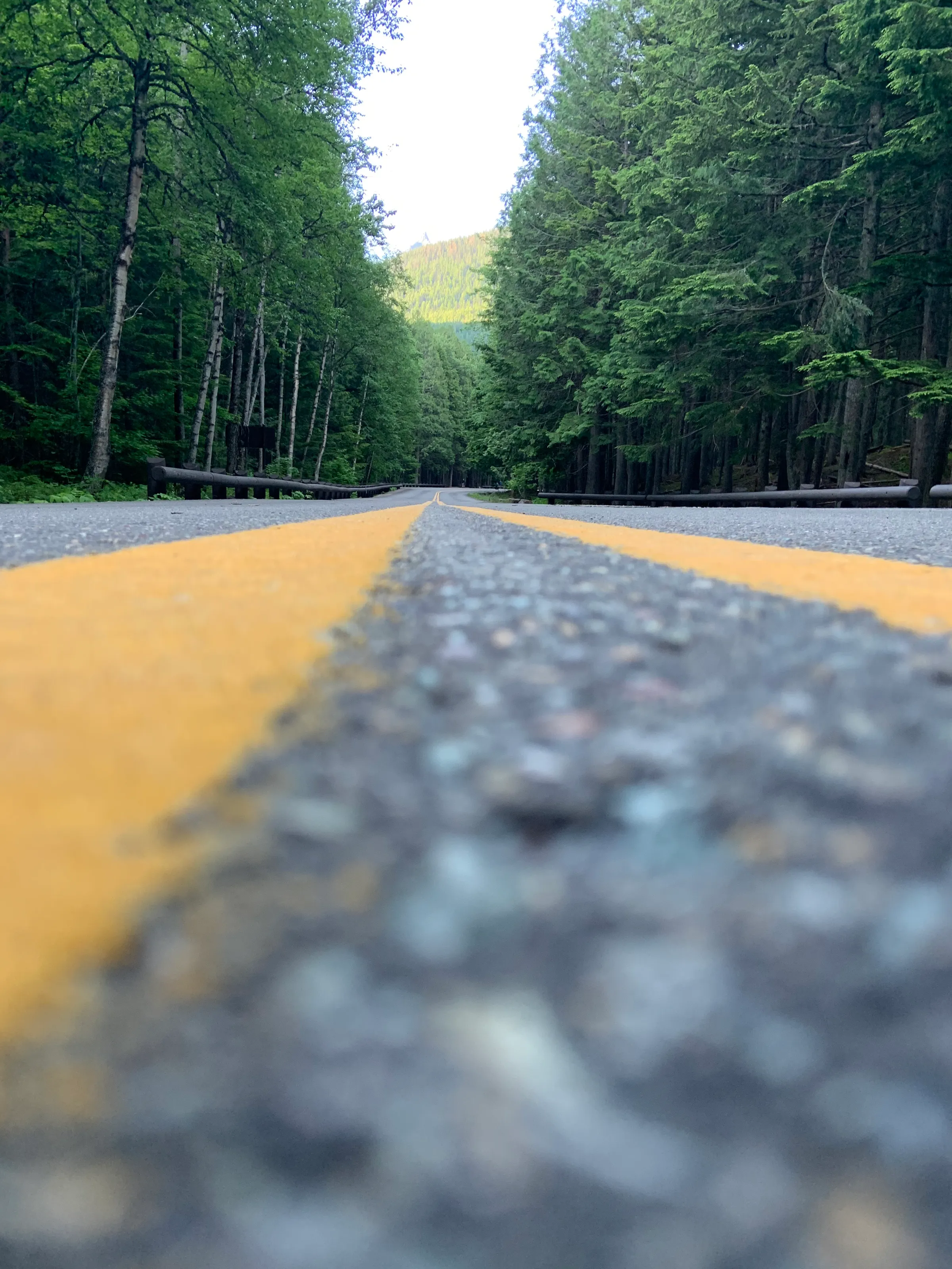 Road lines