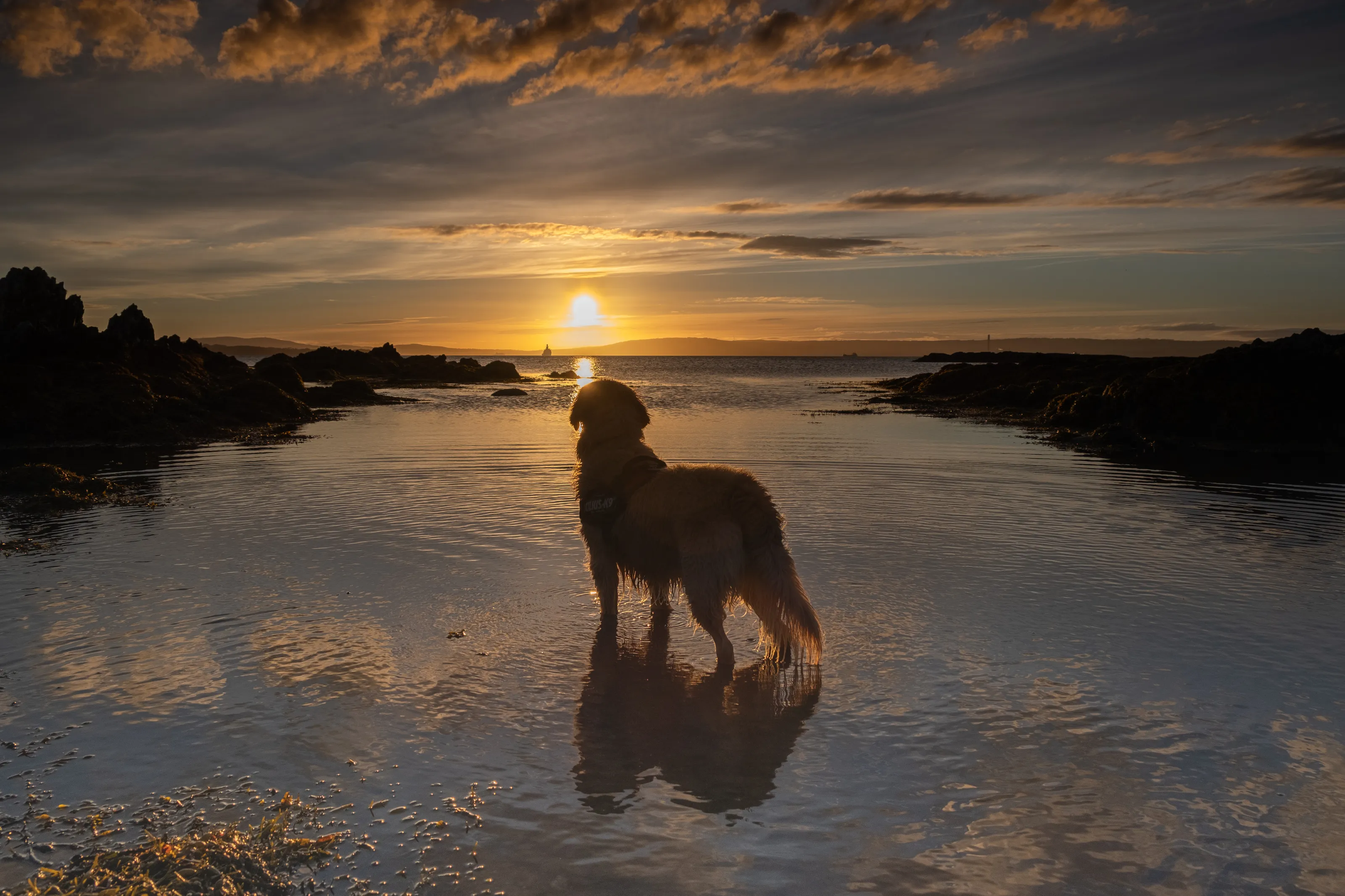 Golden sunset