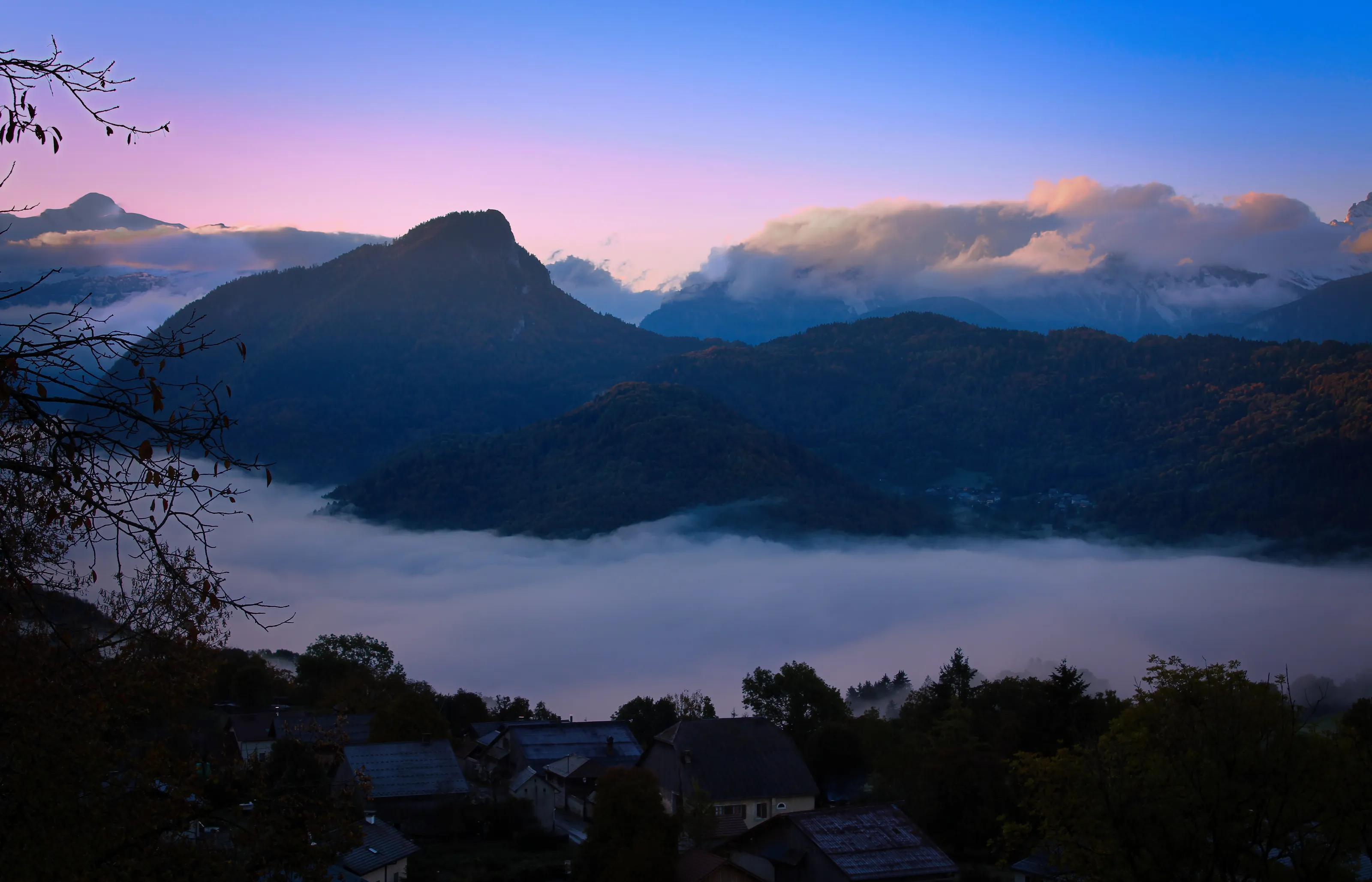Early Morning Fog