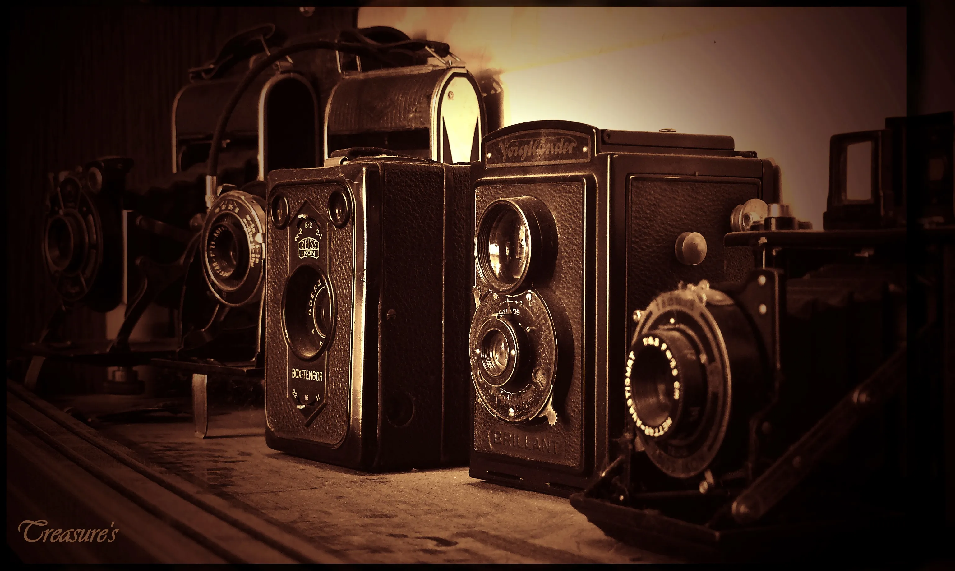Collection