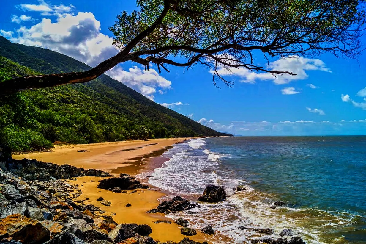 NATURE BEAUTY