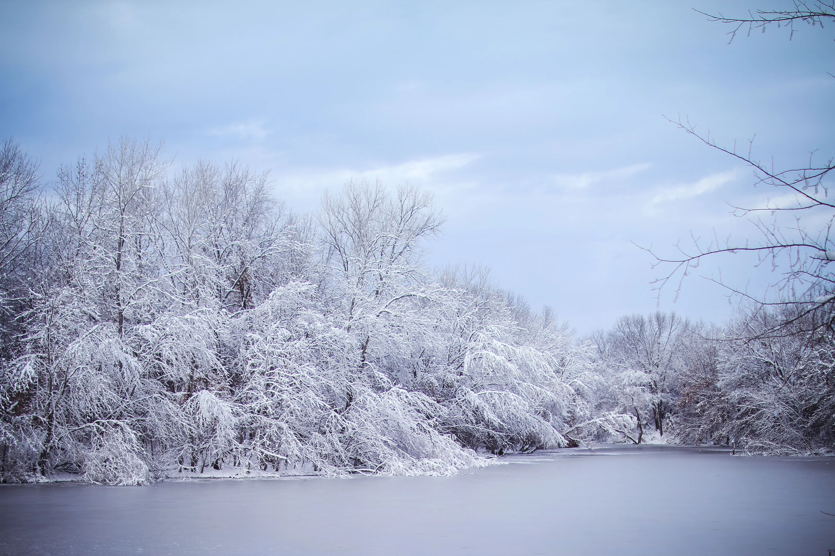 Winter Pond