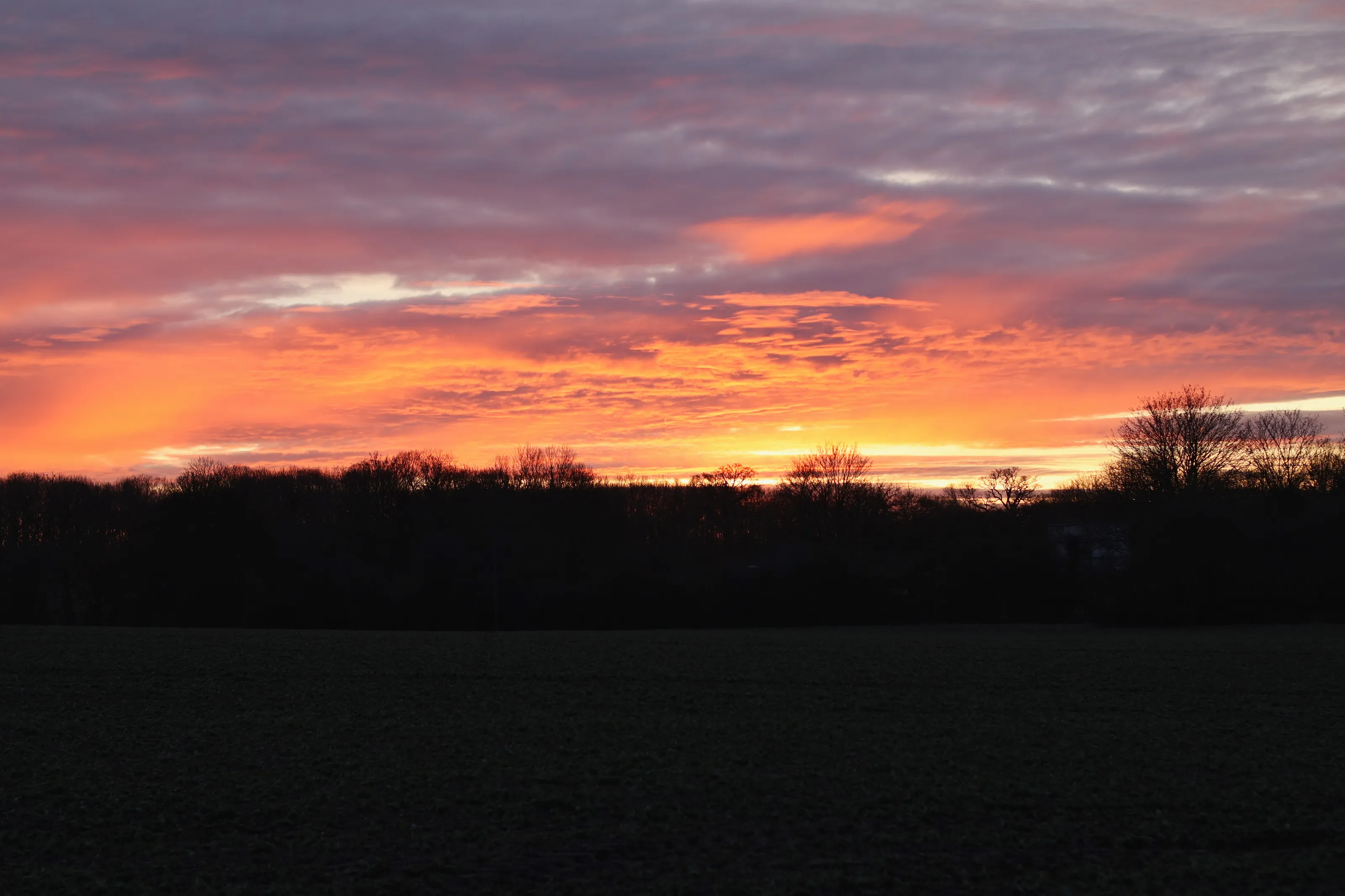Sunrise in Great Leighs