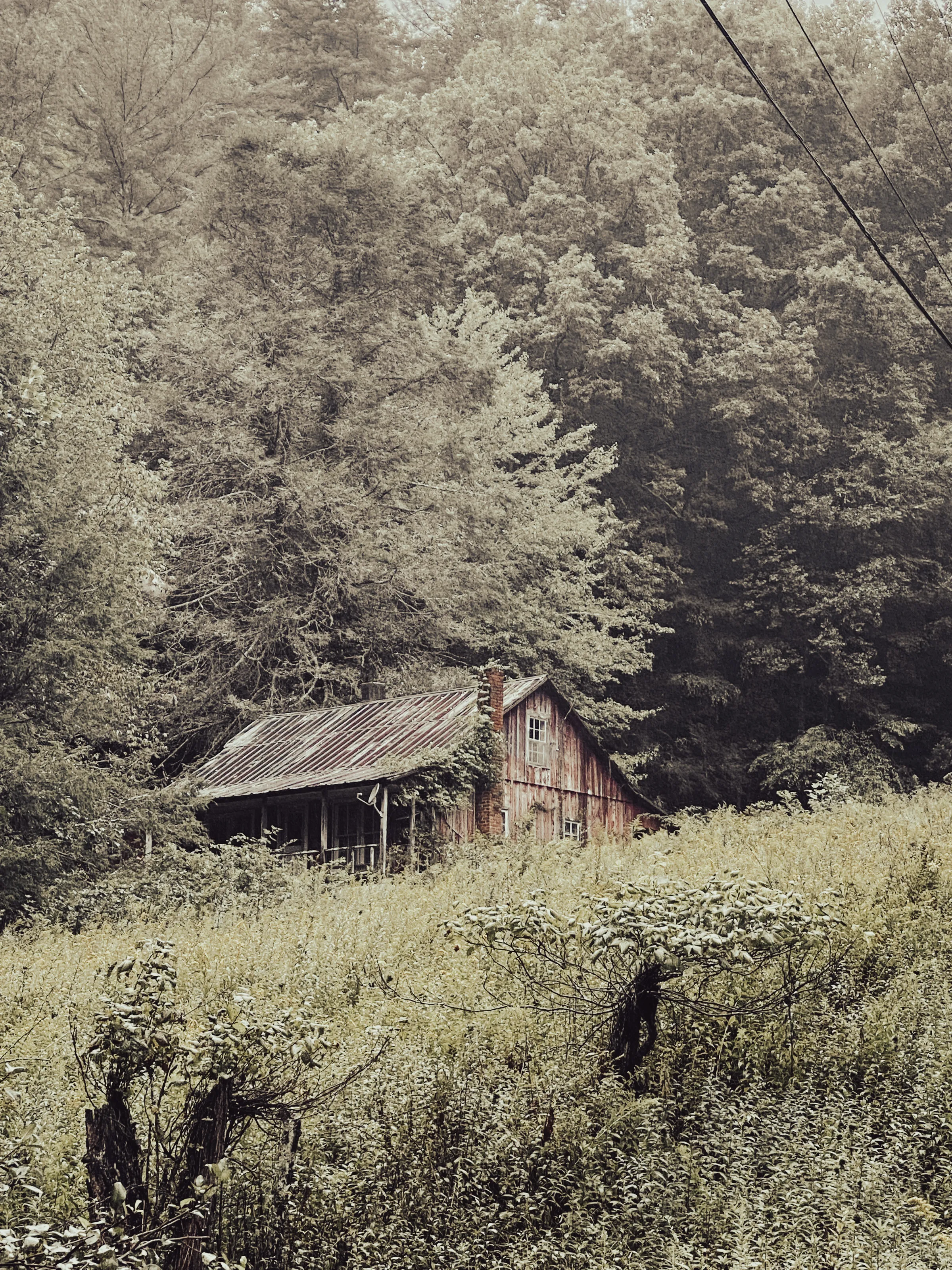 Cabin in the Mountains