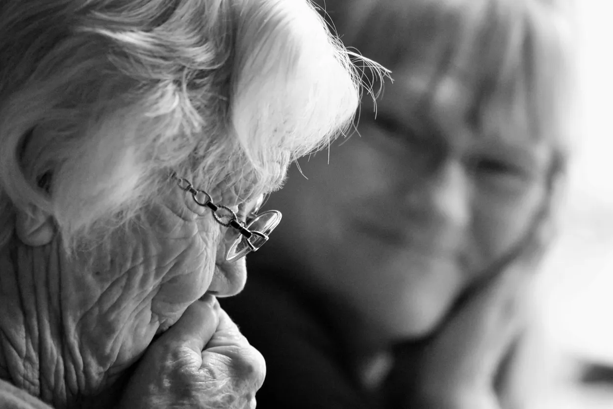 Entry 1749811
